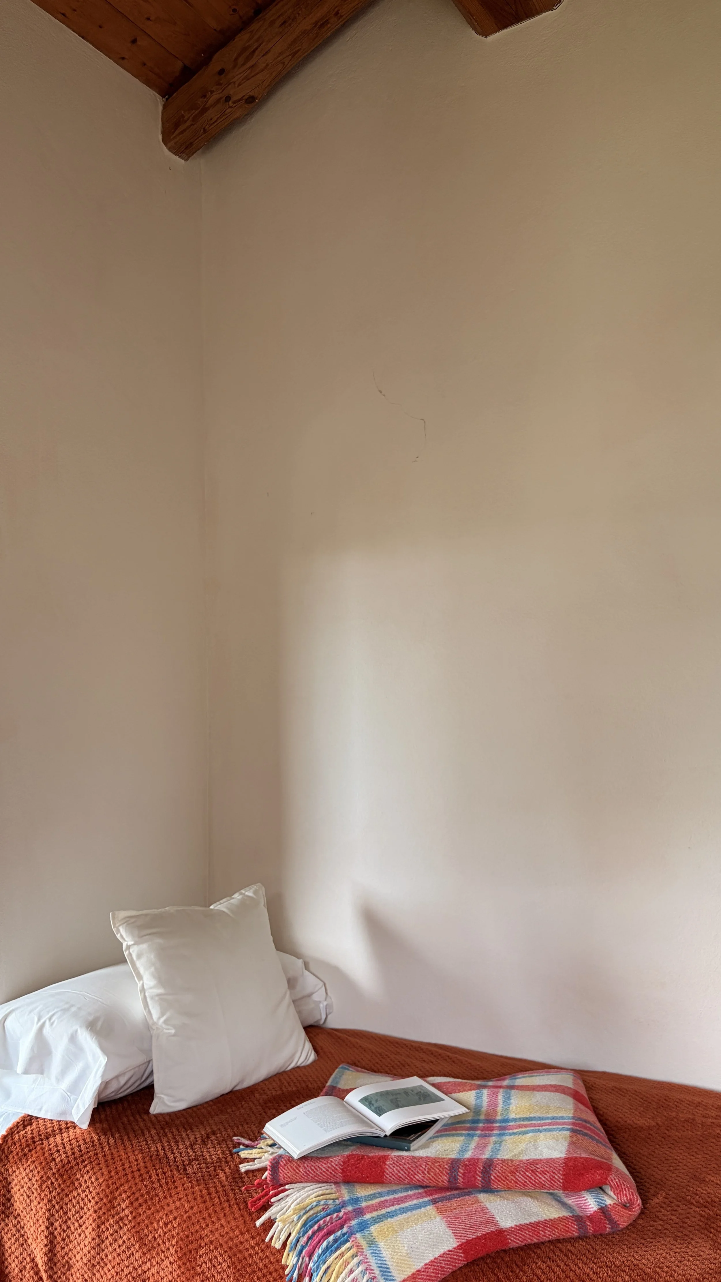 image00027.jpeg