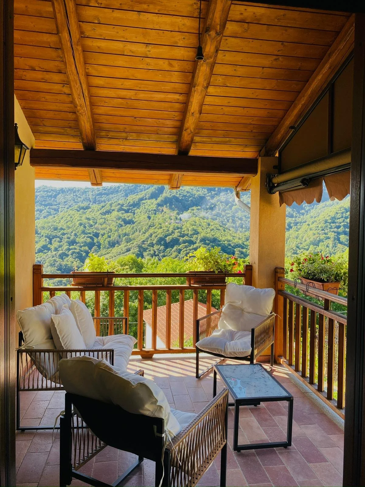 WhatsApp Image 2026-03-03 at 11.08.54 (1).jpeg