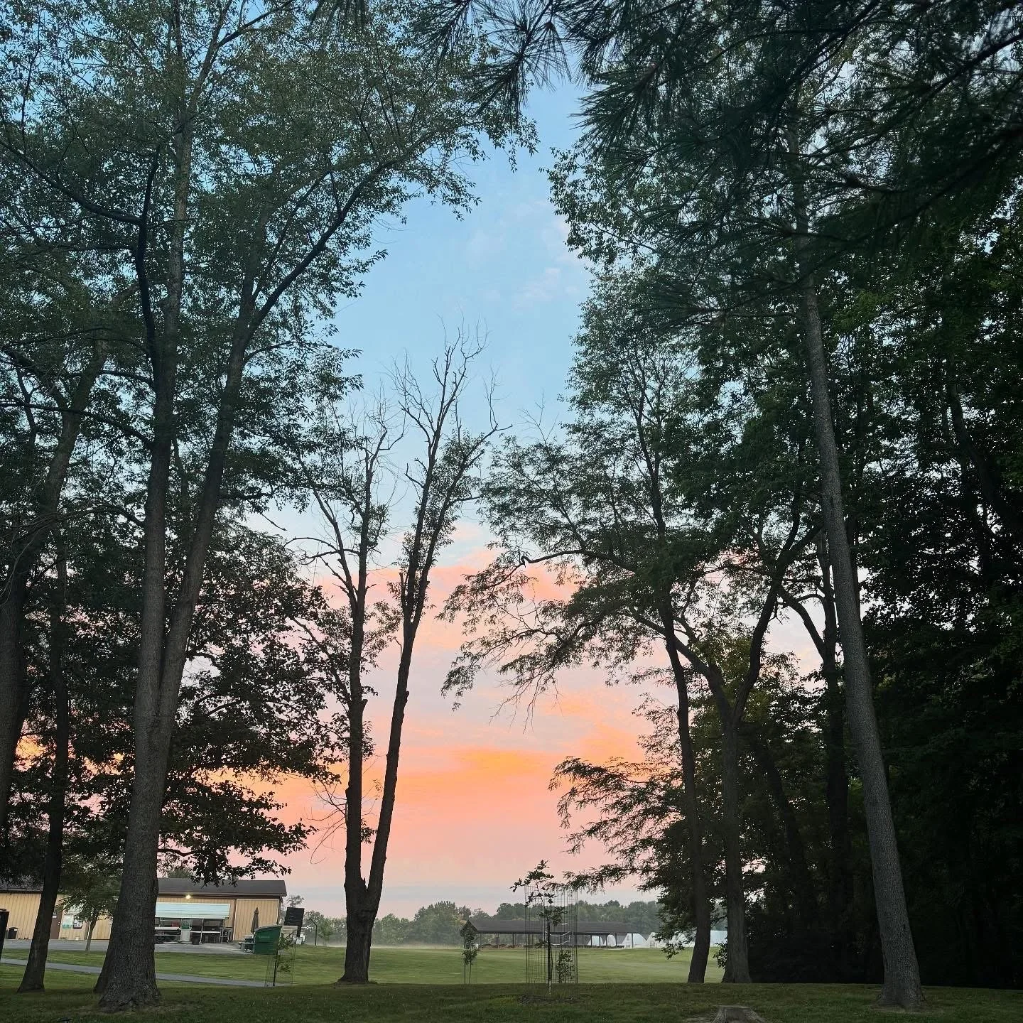 A park scene at sunset with trees framing a pink and blue sky, with a building and tents visible in the distance.