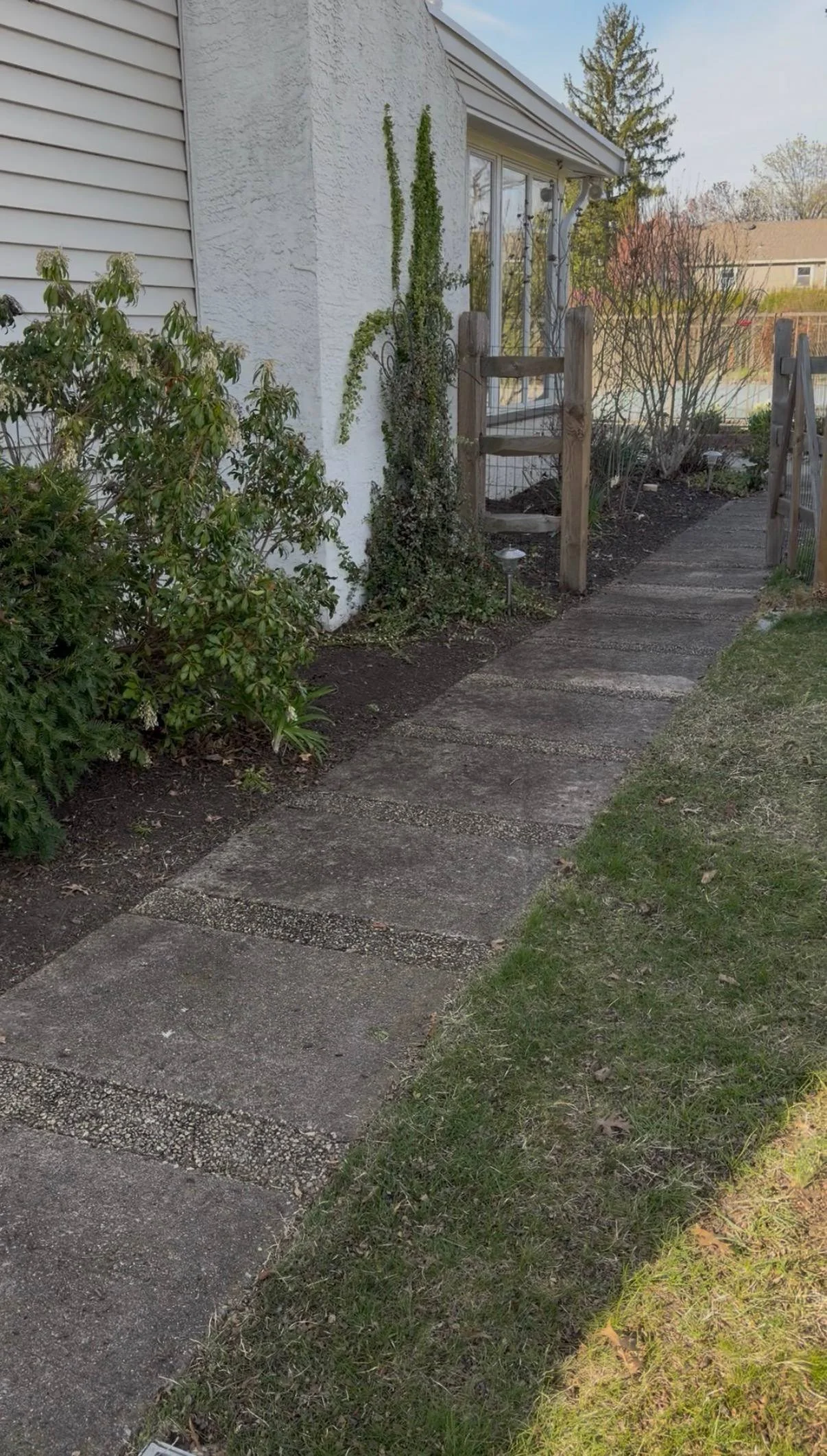 Side walkway before power washing in Bucks County PA showing dirt and algae buildup