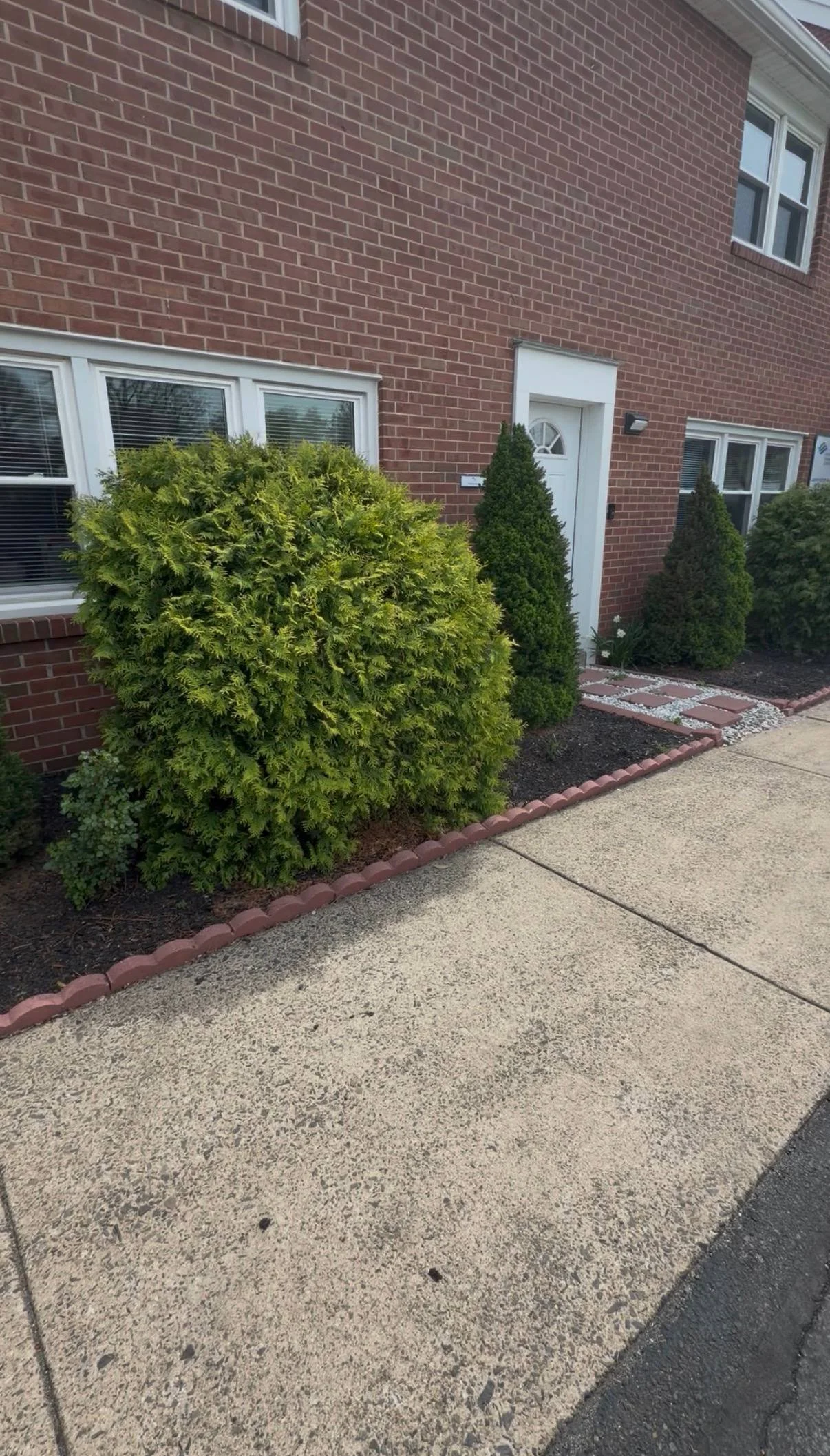 Overgrown garden bed before black mulch installation in Bucks County PA with weeds and uneven edges