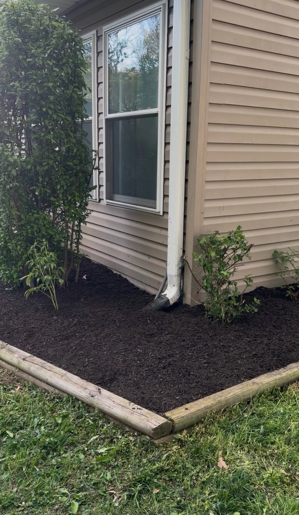 Brown mulch installation in Warminster PA with clean edges and restored landscape beds