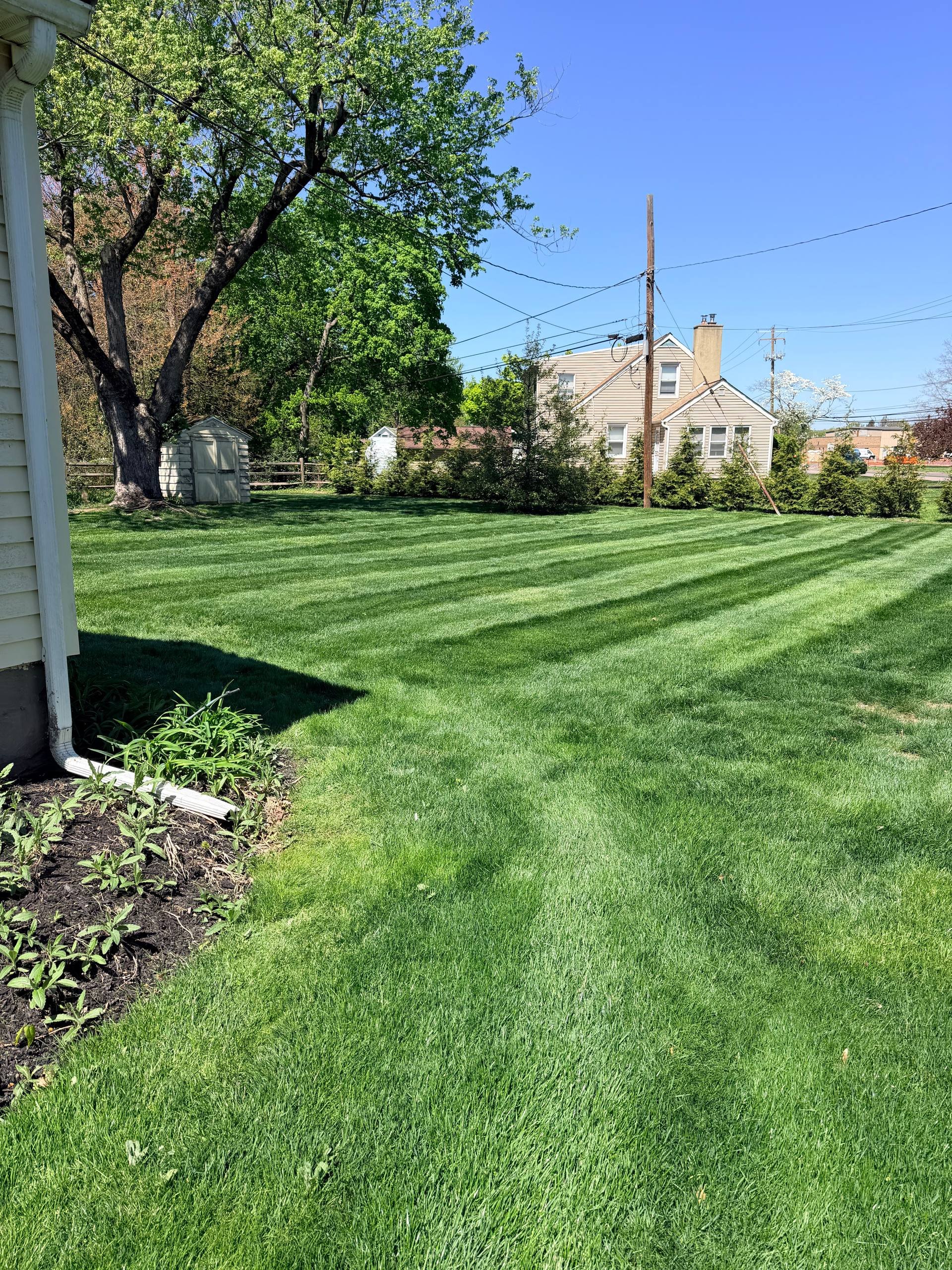 Professional lawn mowing with clean stripe pattern in Warminster, PA by PureScape