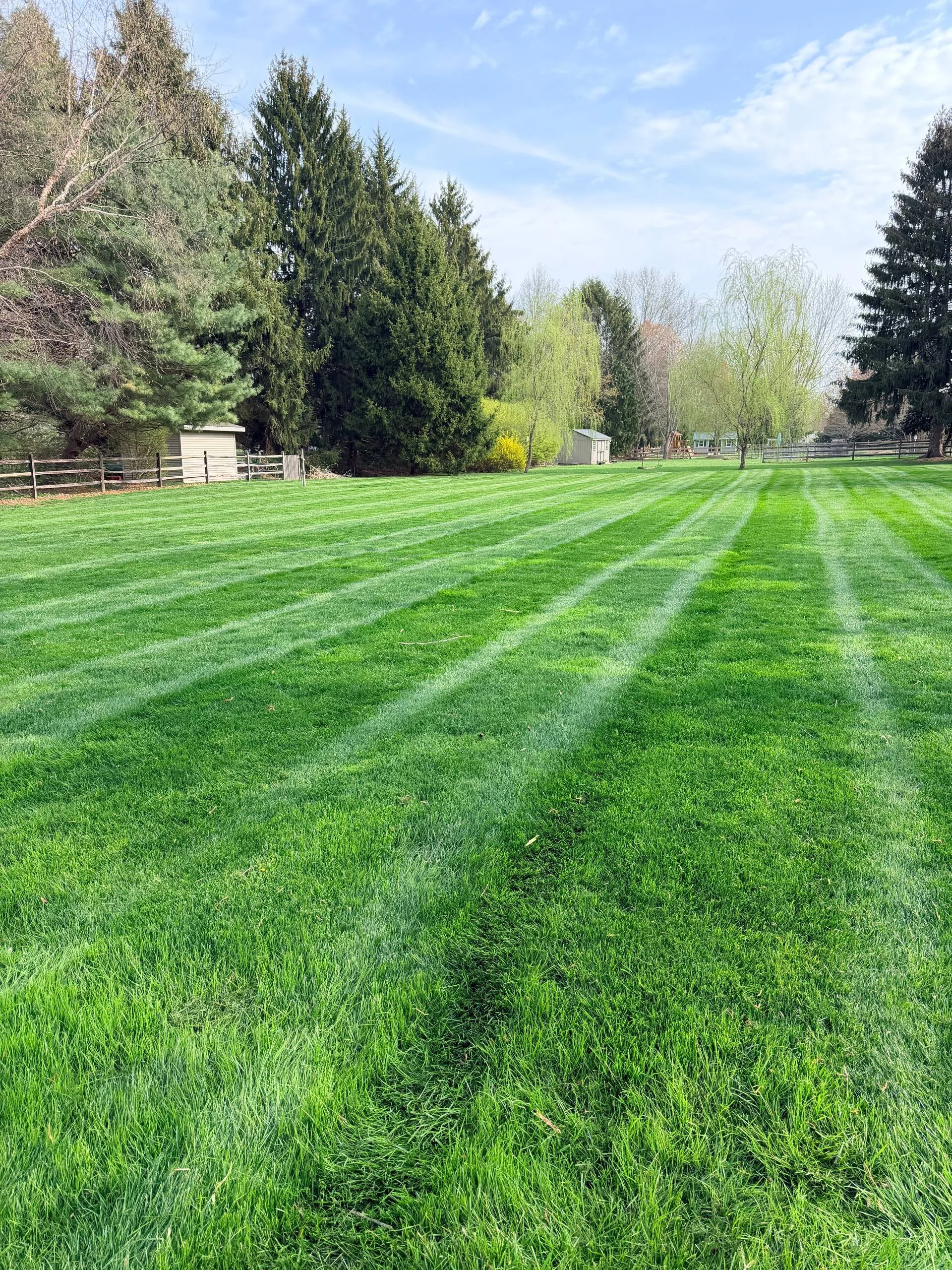 Freshly mowed striped lawn in Bucks County, PA with clean edges and professional finish