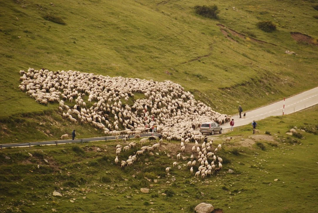 landscape, migration, outdoors, poetic, anthropological, folklore, musical