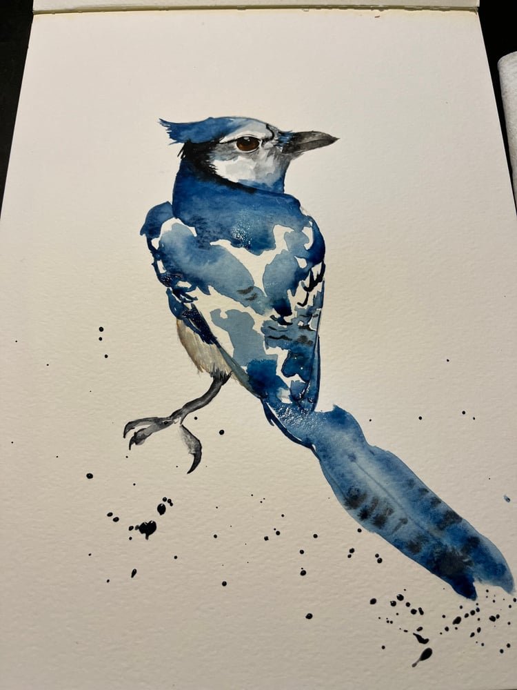 blue-jay-watercolor-painting.jpg
