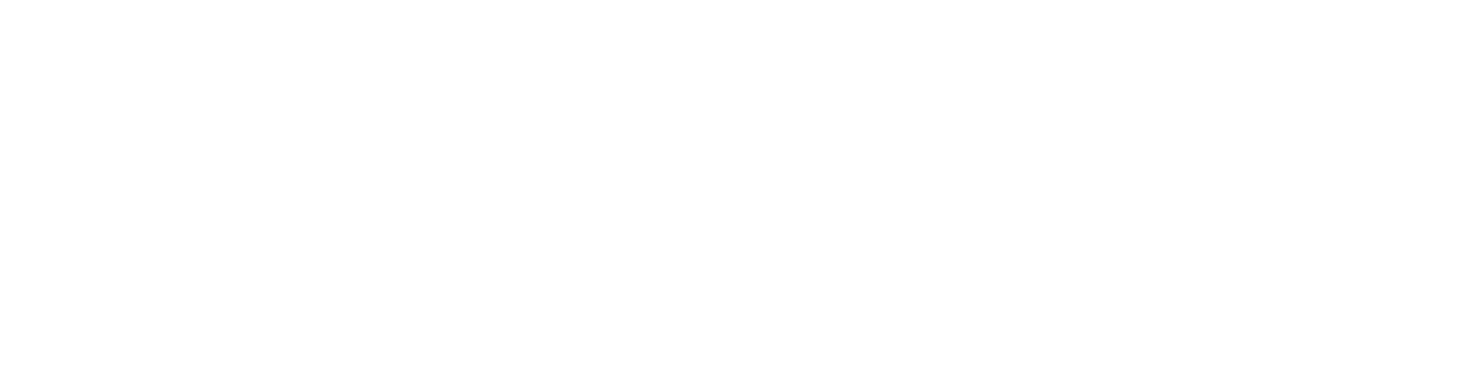 Lakeshore Development Partners