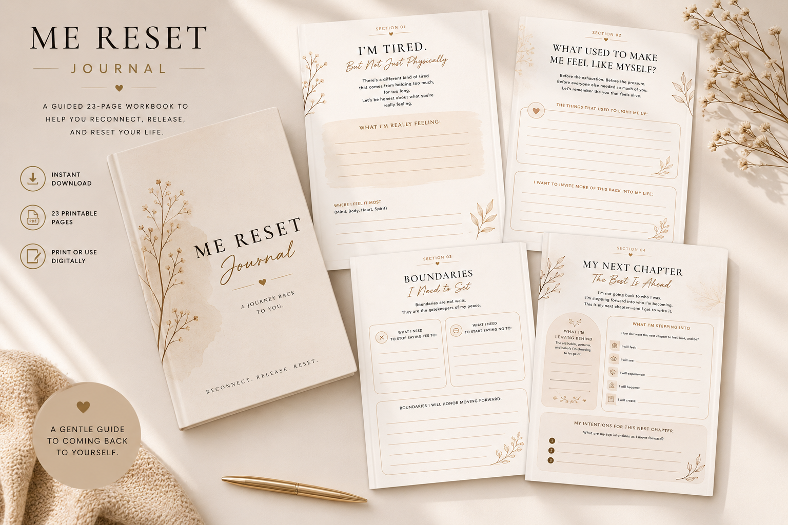 Me reset mockup.png