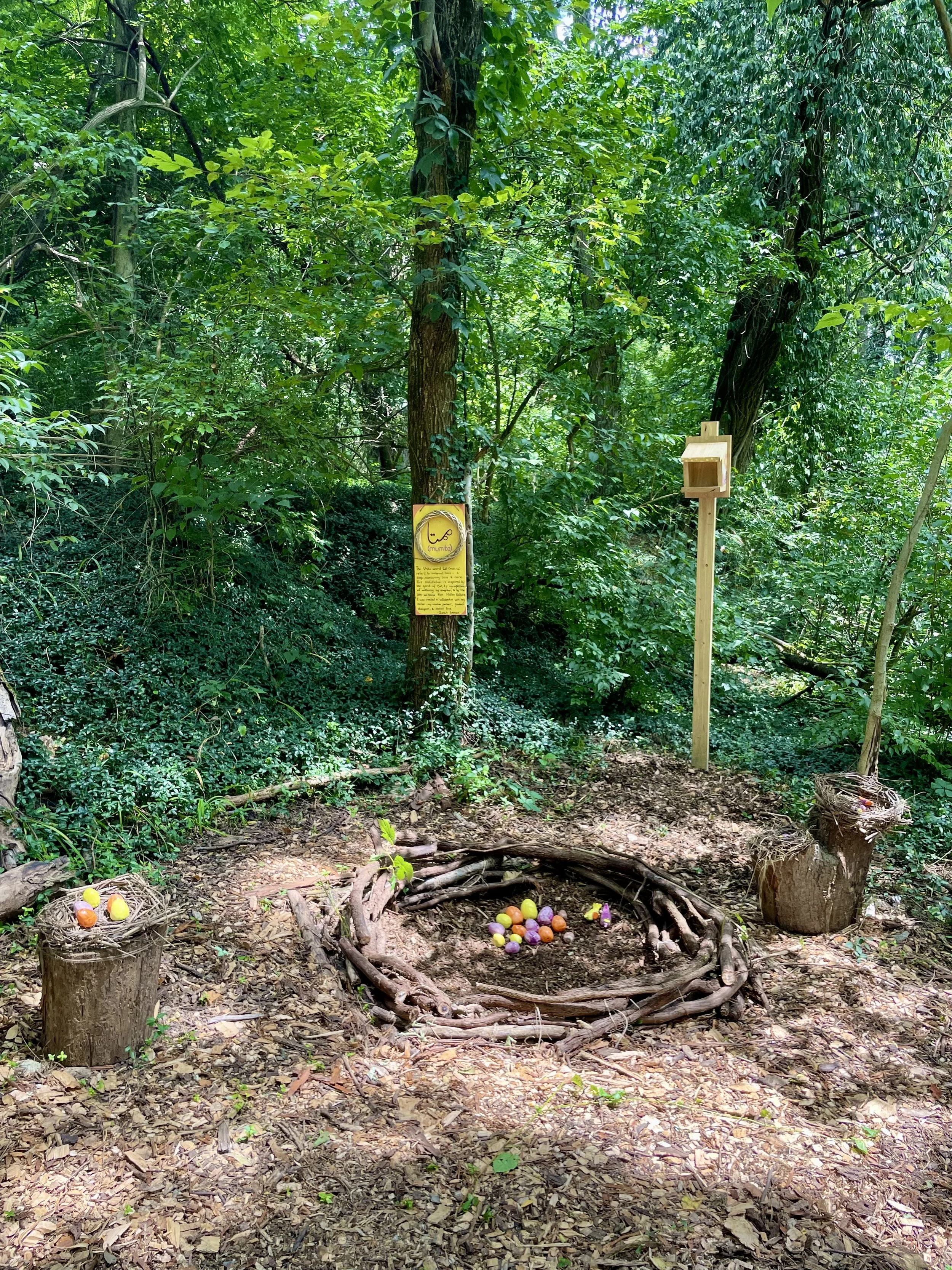 Mamta — An Installation