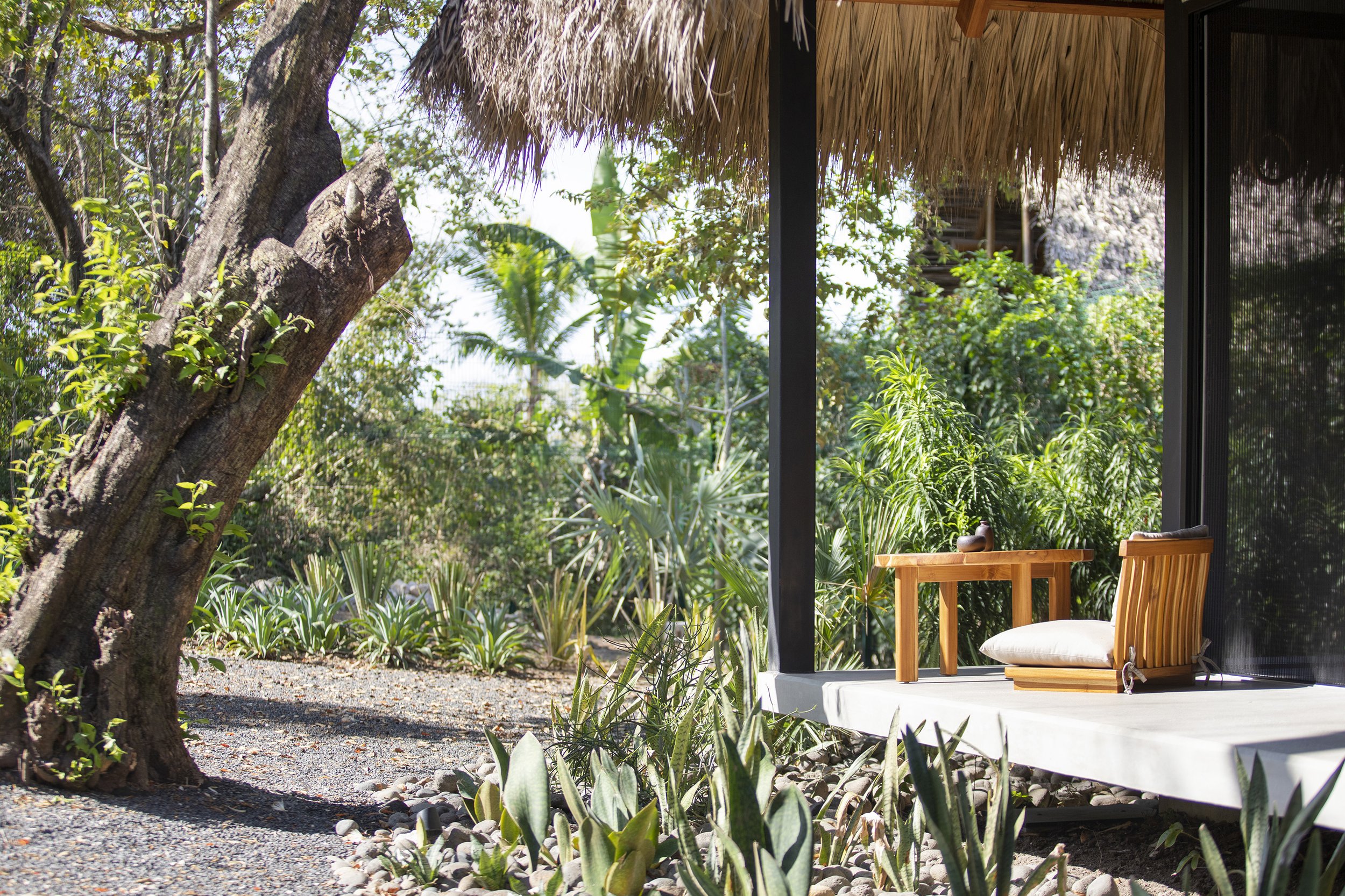 CasaTeahouse_BAJA_038.jpg