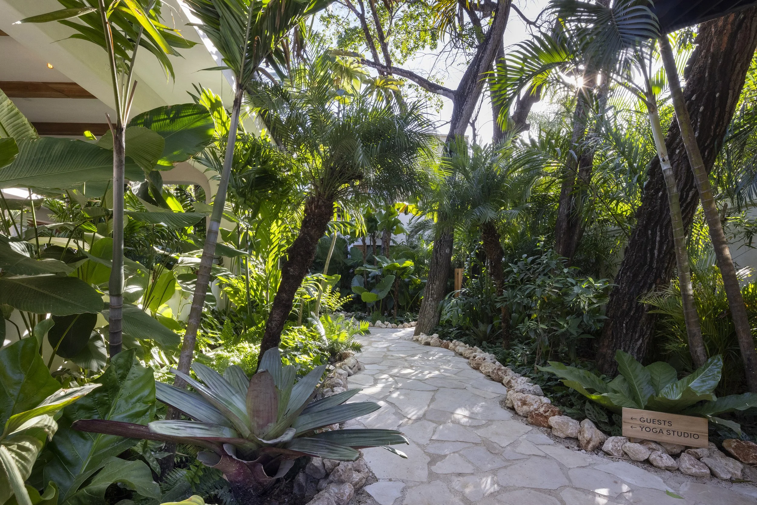 Sendero Nosara