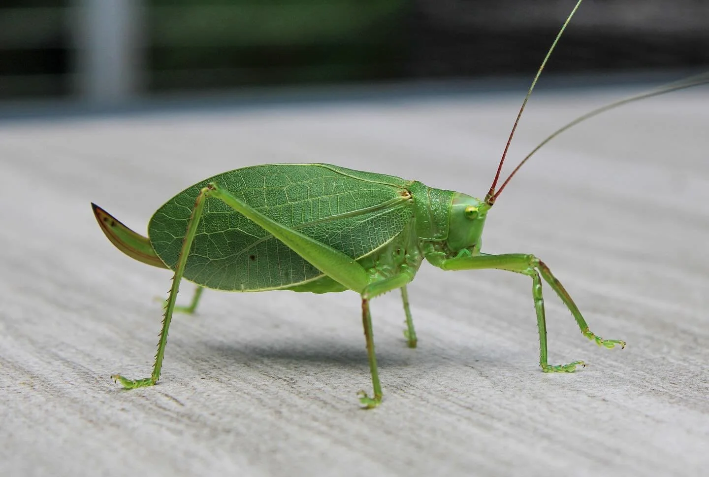 A couple beauties from the lake 🥰