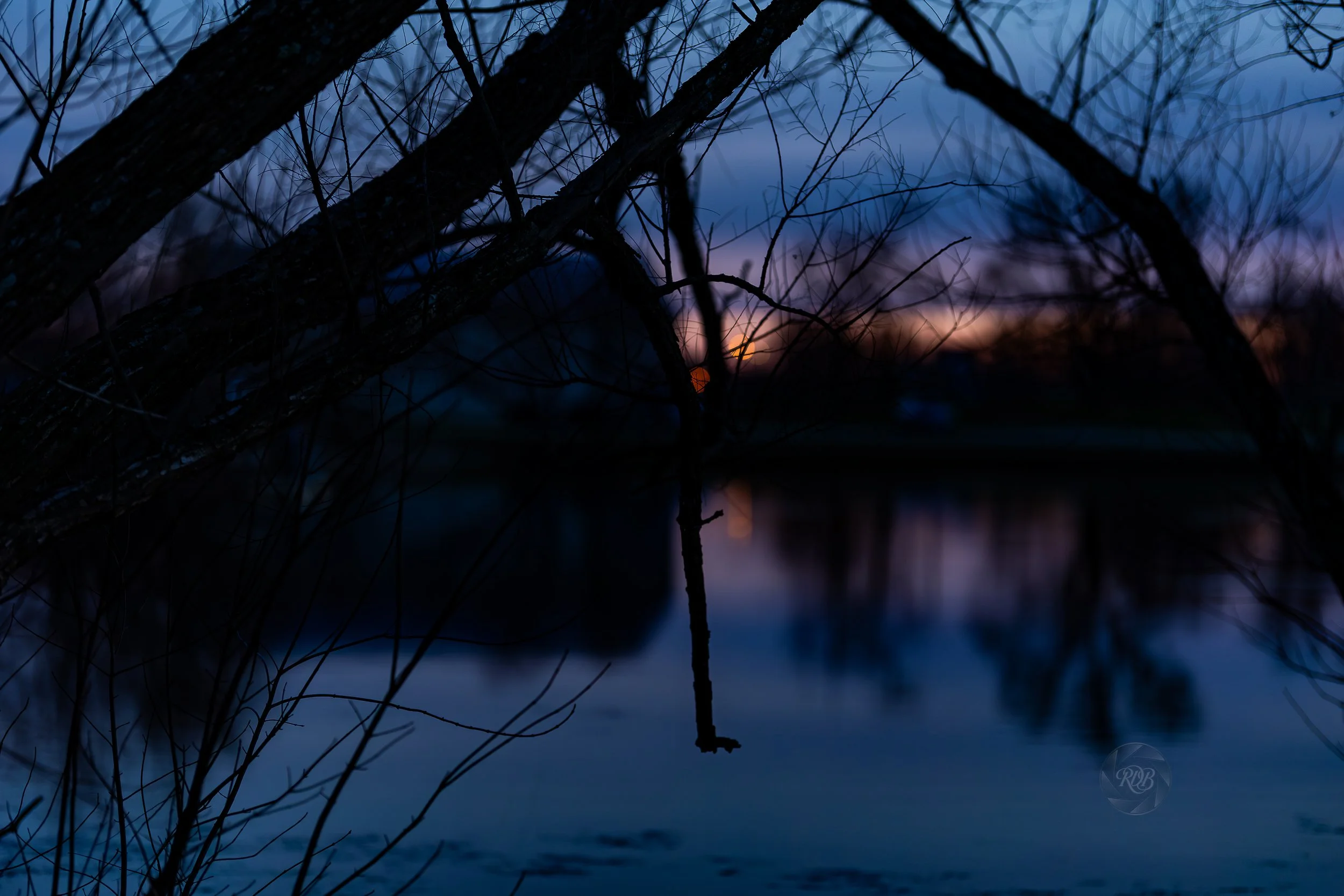 Dark silhouette of tree branches by a calm body of water at sunset or dusk, with a colorful sky in the background.