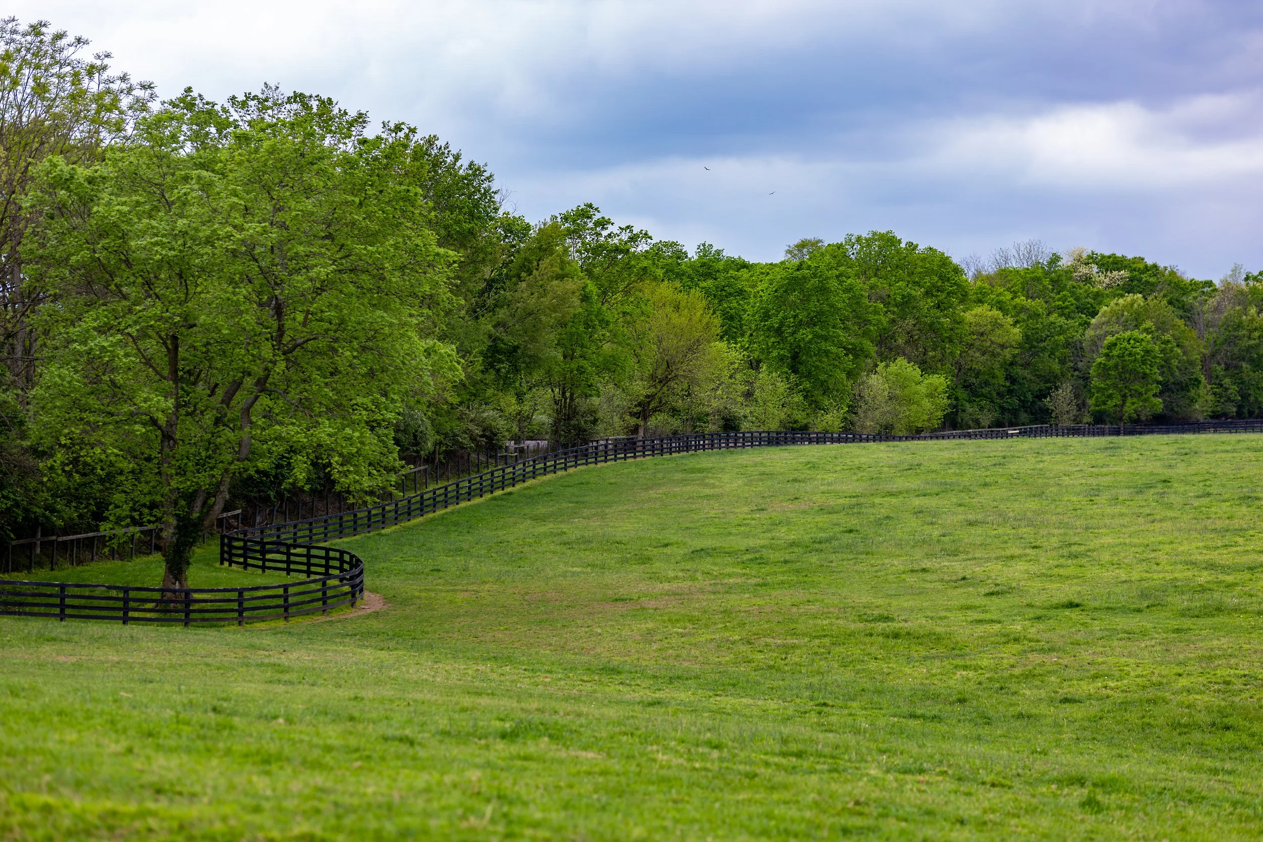 Spring Station-9117-11.jpg