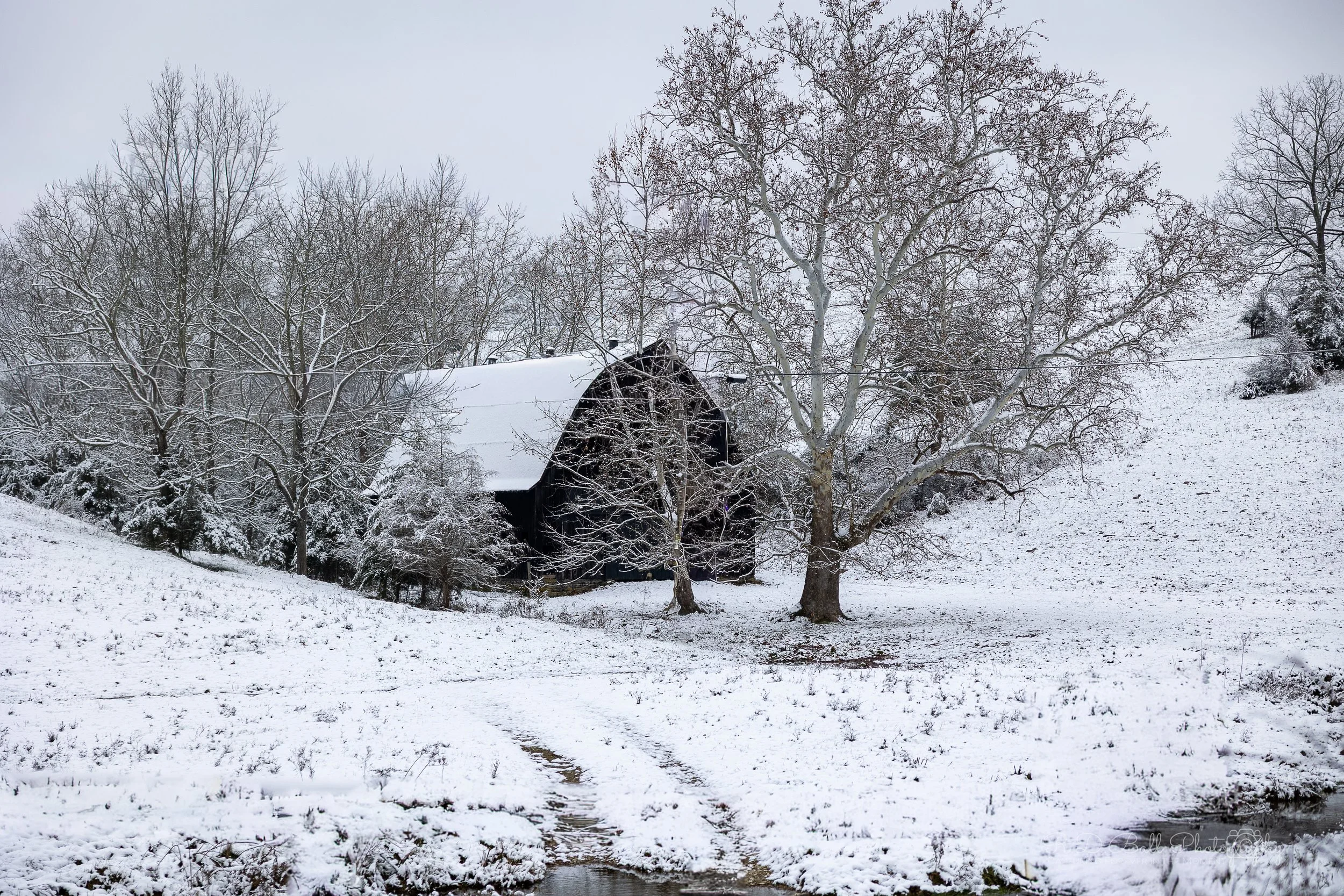 Snow-covered landscape with a barn and leafless trees in winter weather.