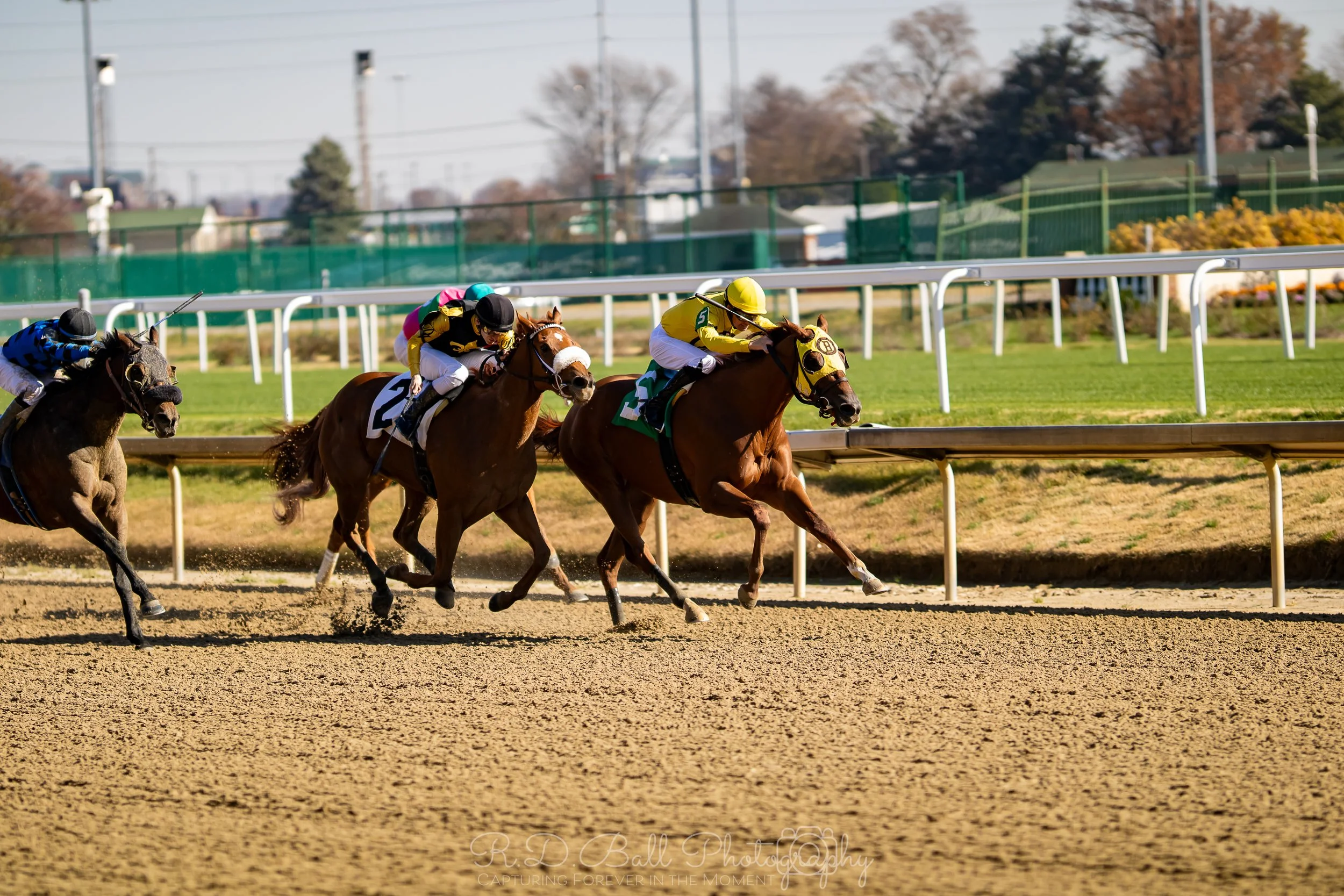 Horse race in progress with jockeys riding galloping horses on a dirt racetrack under clear skies.