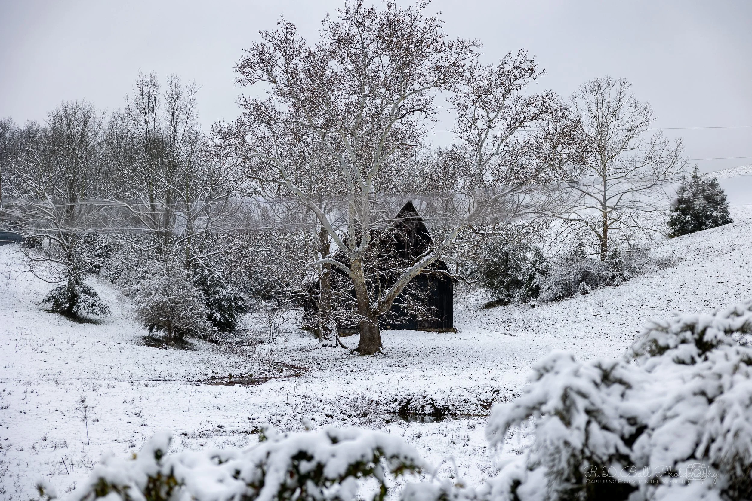 Snow-covered landscape with trees, a small stream, and a dark barn or shed in the background.