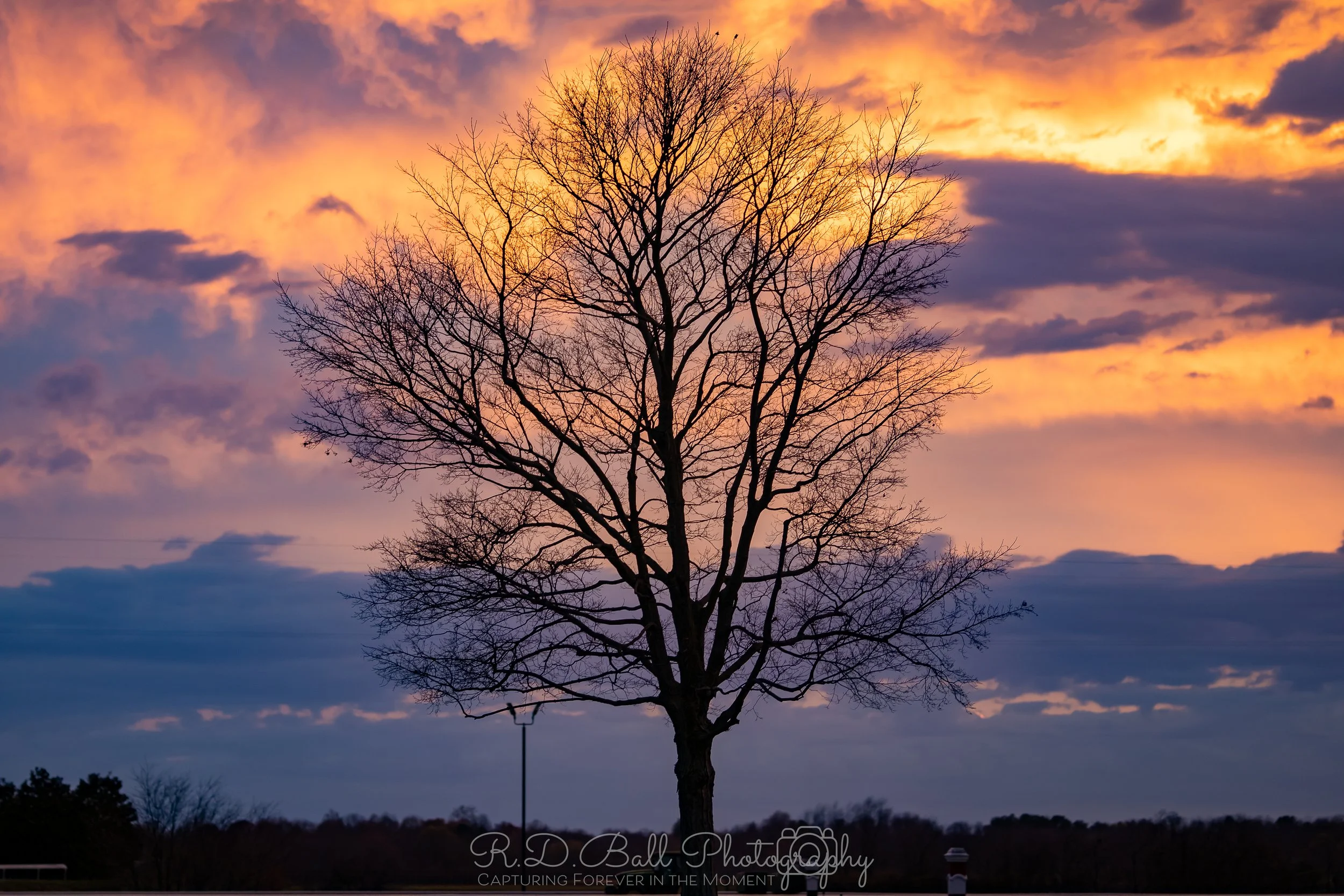 A silhouette of a large, leafless tree against a colorful sunset sky with orange, pink, purple, and blue clouds.