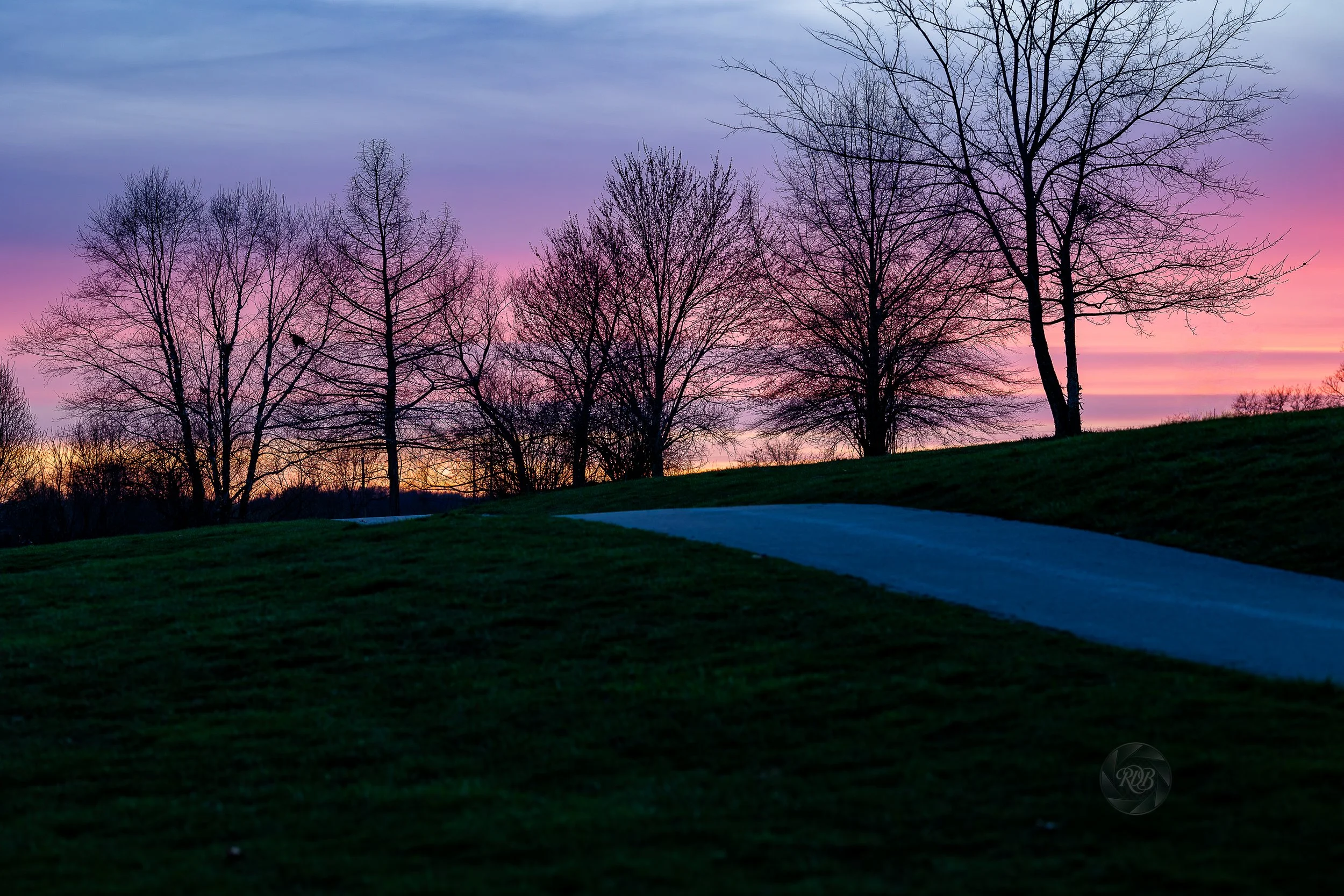 A park landscape at sunset with leafless trees against a colorful sky and a winding pathway.