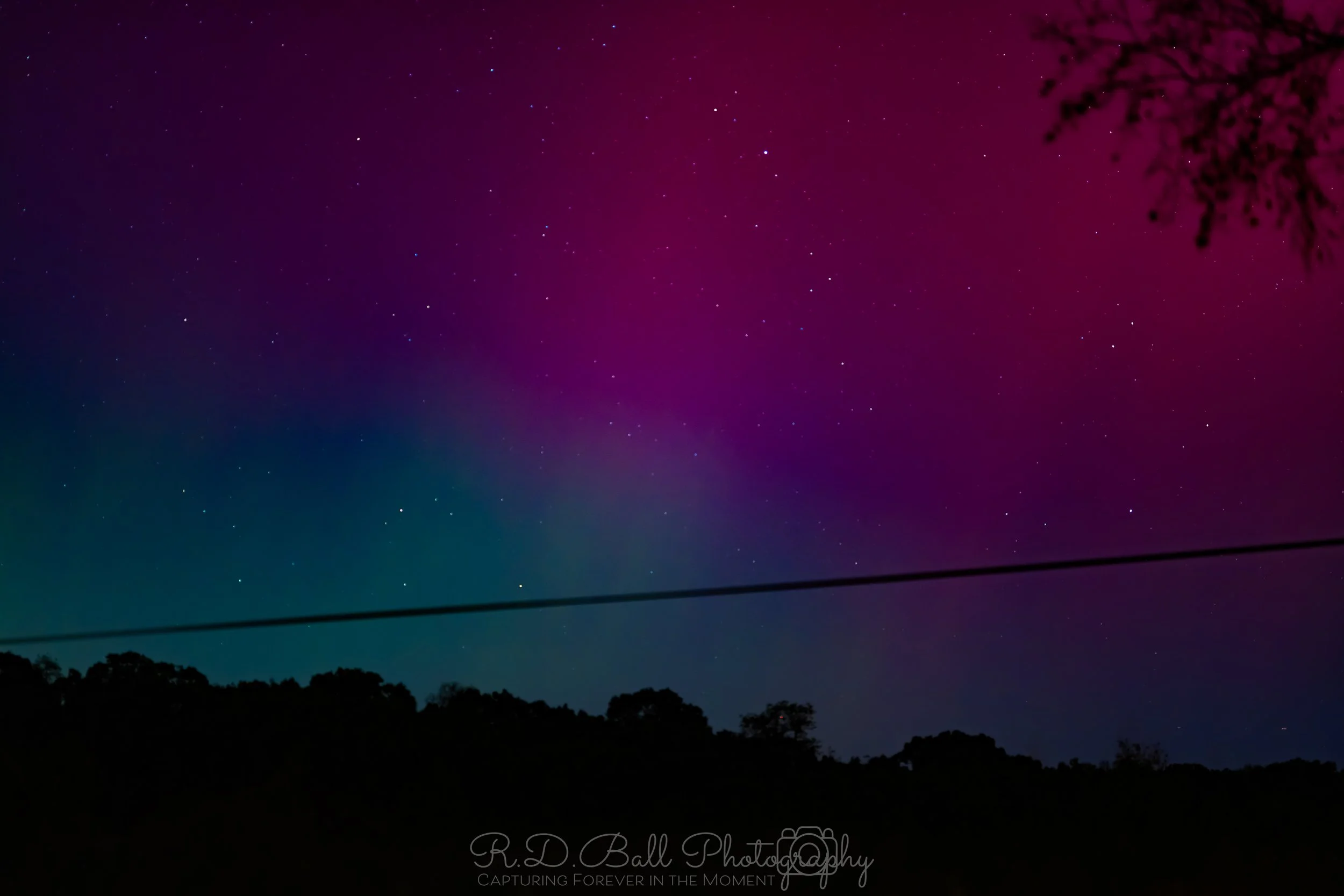 Night sky with purple and blue aurora borealis, stars scattered across the sky, and silhouettes of trees and a power line in the foreground.