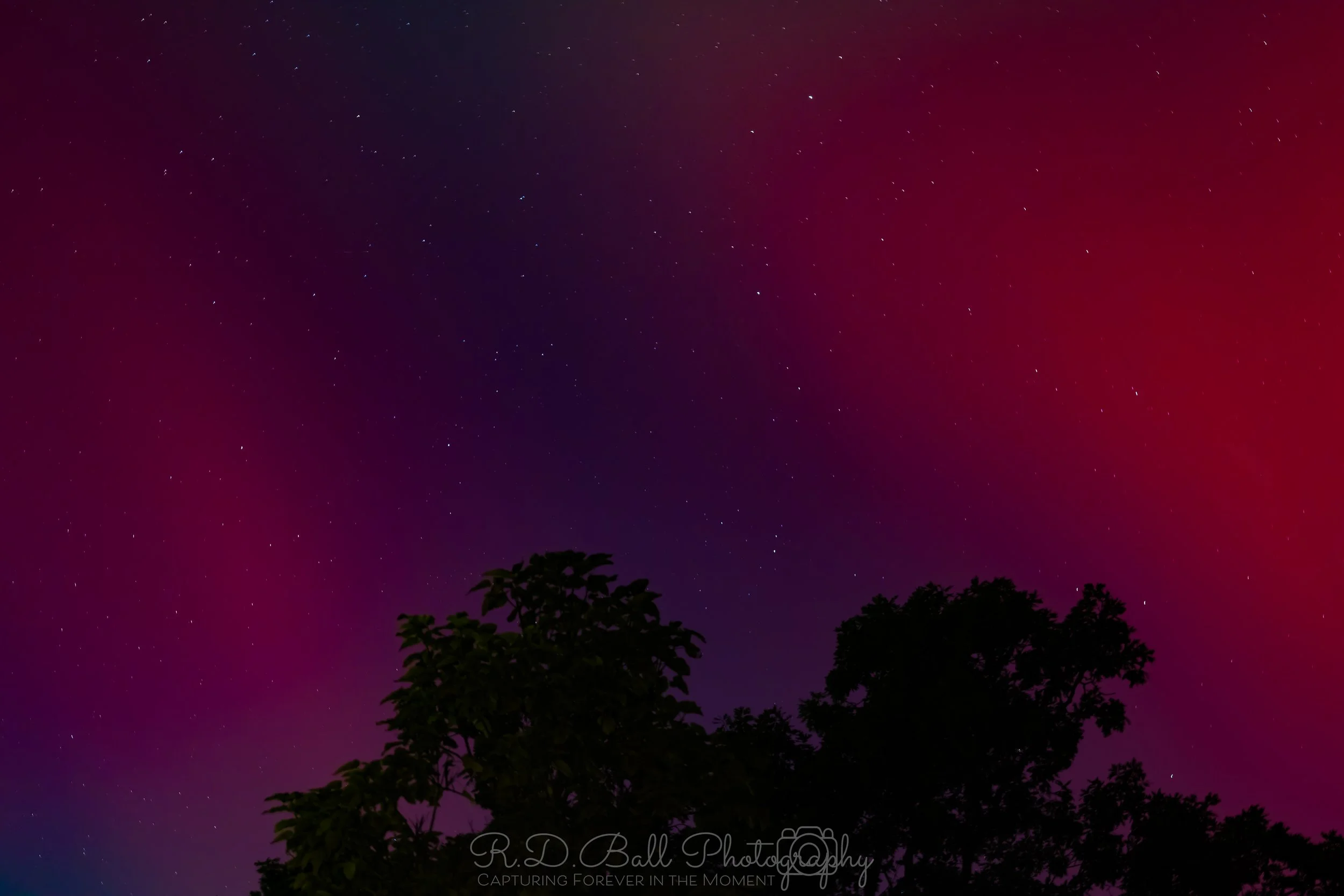 Night sky with stars and a gradient of purple and pink colors, silhouetted trees at the bottom.