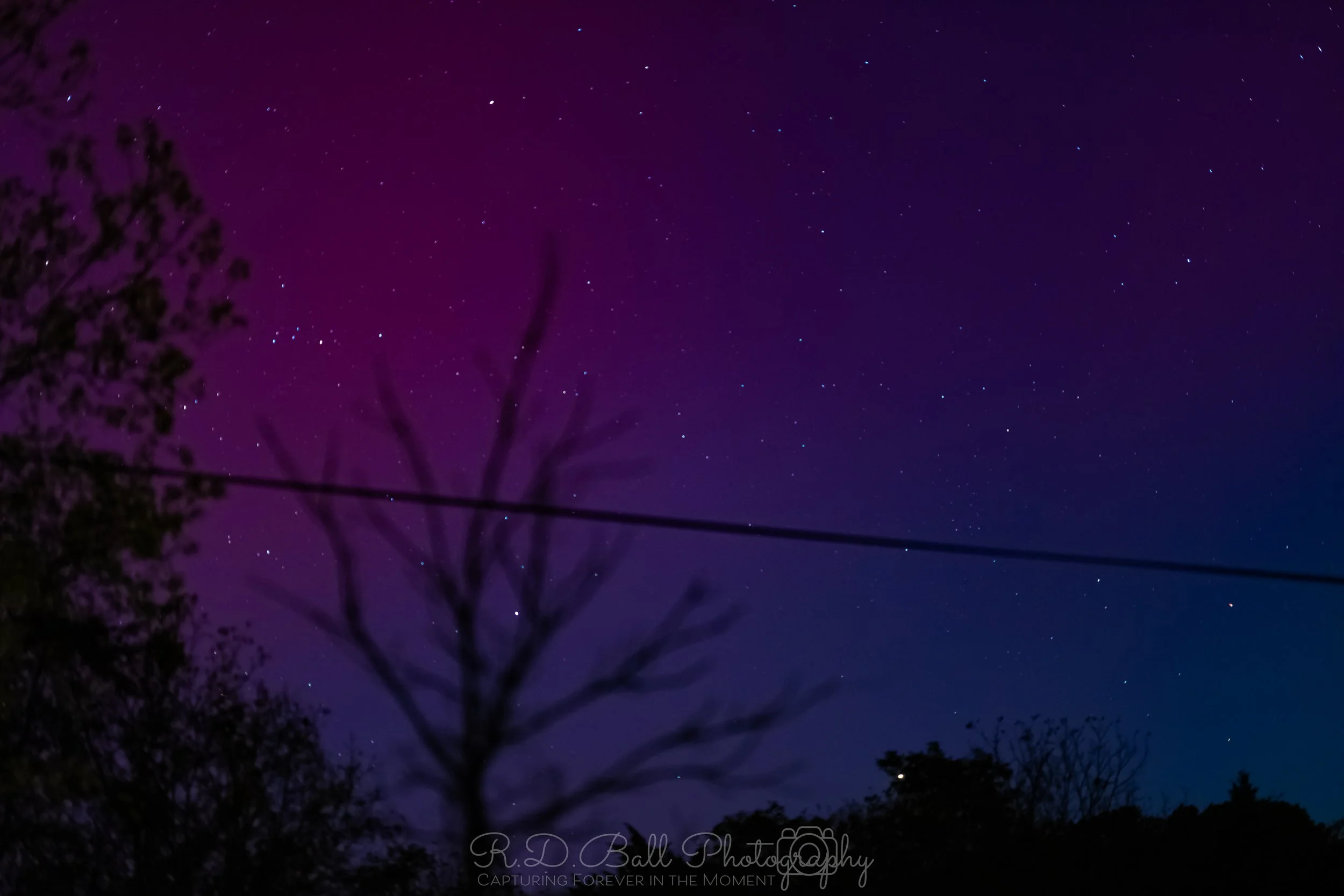 Night sky with stars and a silhouette of a leafless tree and some surrounding trees, with hues of purple and blue.