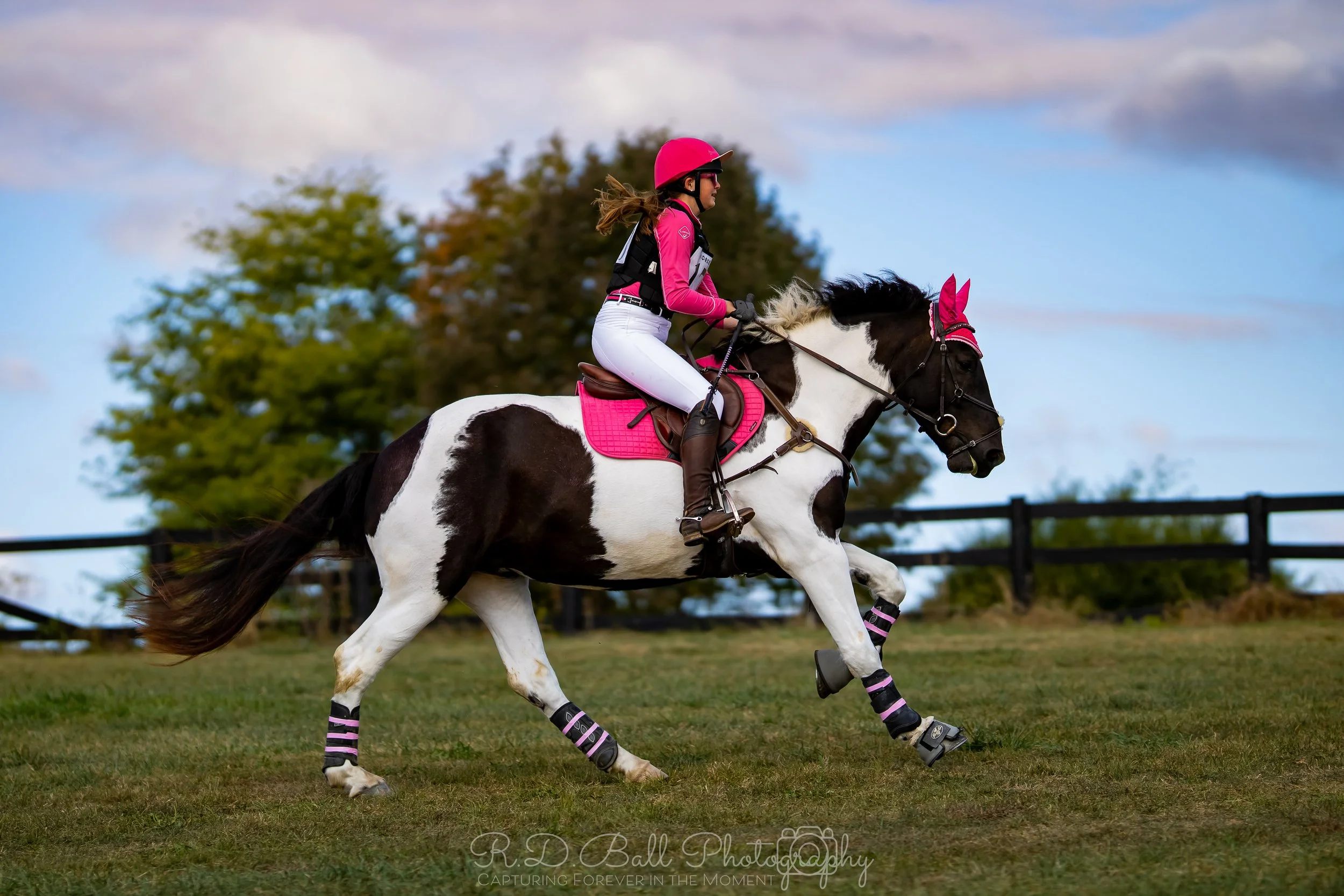 A woman rides a black and white pinto horse across a grassy field, wearing a pink riding helmet, pink riding jacket, white breeches, and brown riding boots, with matching pink and black protective gear on the horse's legs.