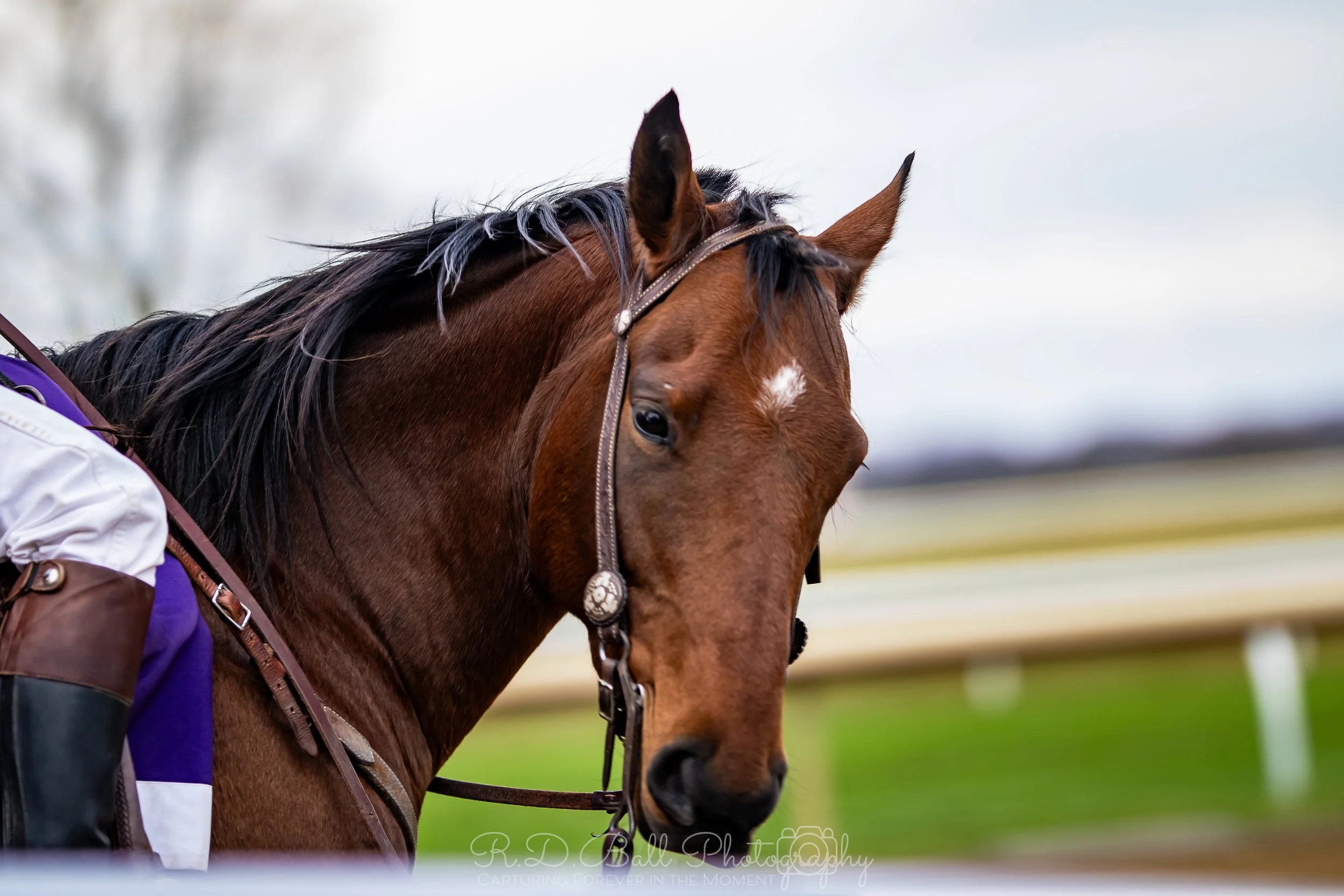 RDBP--88.jpg
