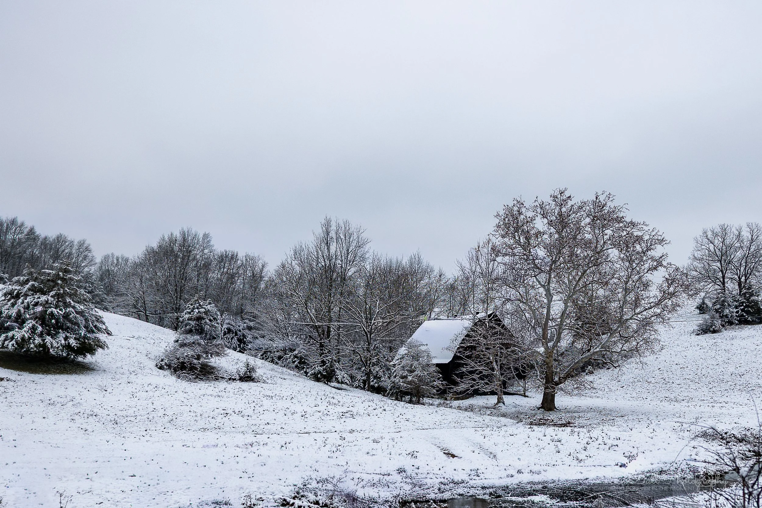 Snow-covered landscape with trees and a wooden barn in the background under an overcast sky.