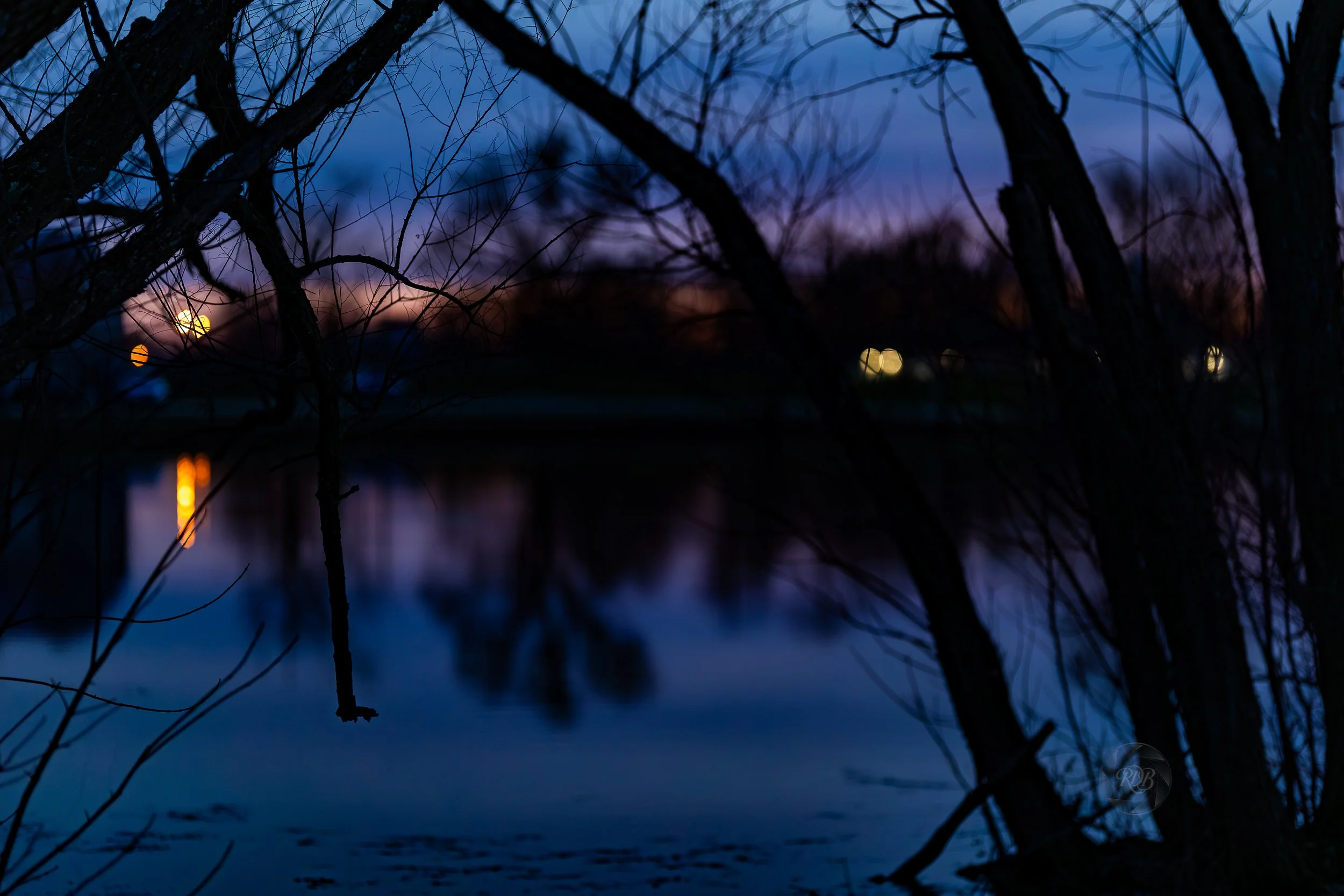 A dark silhouette of trees near a body of water at dusk, with city lights reflecting on the water and a bridge in the background.