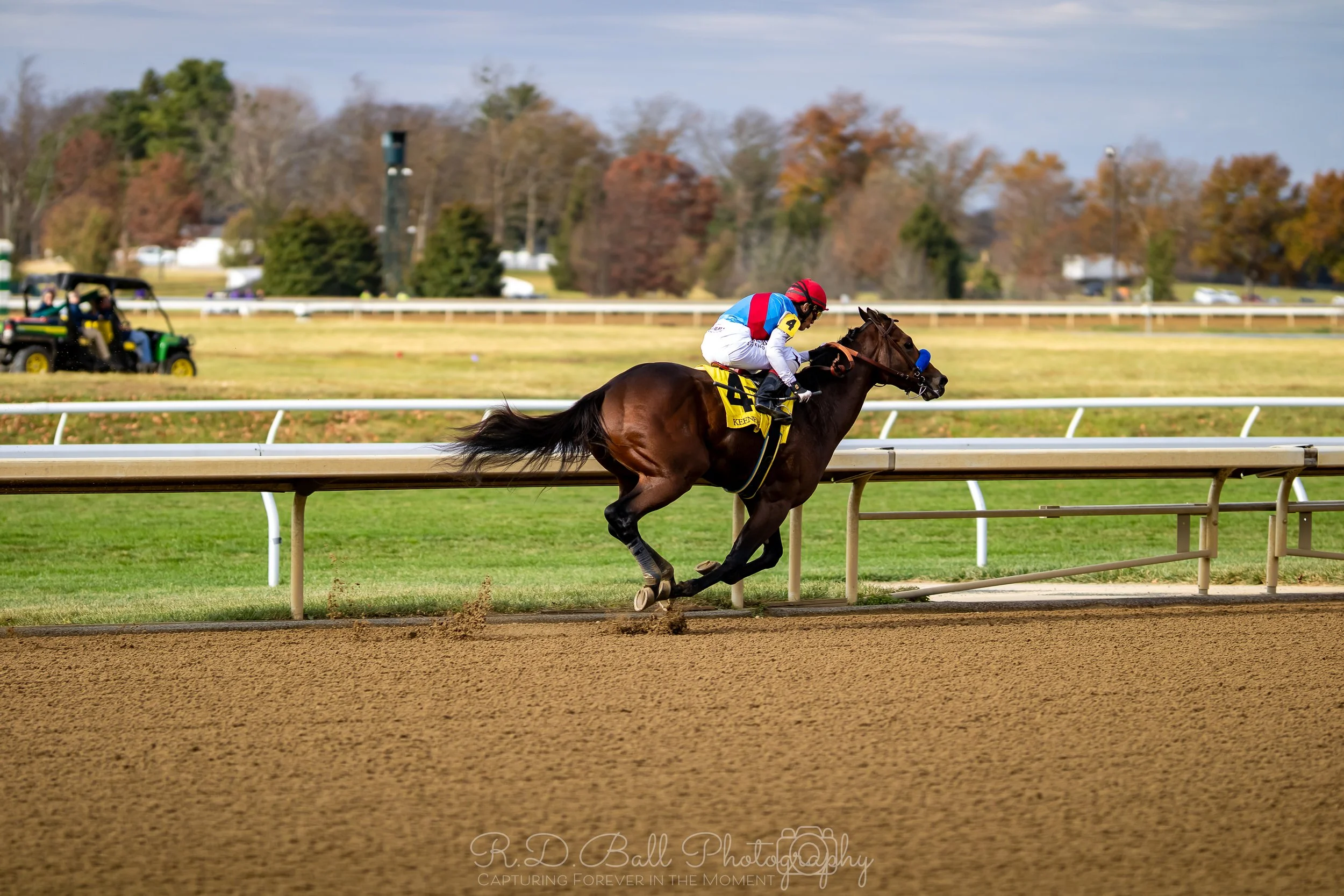 A racehorse with a jockey in a red and blue helmet and white silks is running on a dirt track during a horse race in daytime, with trees and a golf cart in the background.