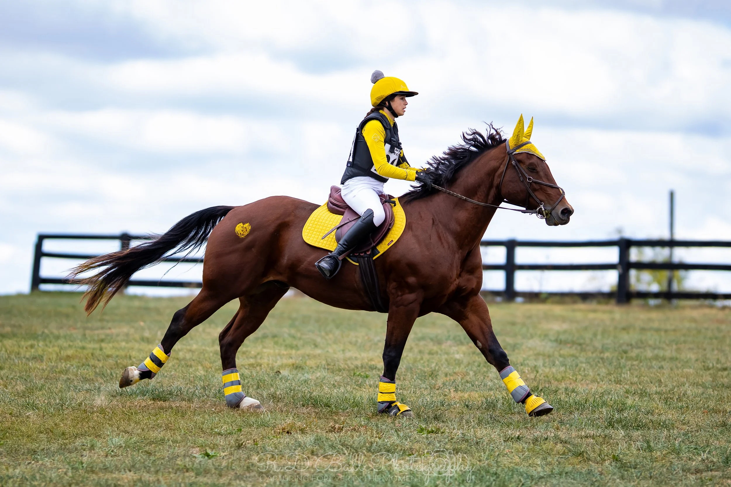 A female equestrian rider dressed in yellow and white riding gear, with a yellow helmet and matching saddle pad, riding a brown horse with matching yellow accessories on a grassy field with a black fence in the background.