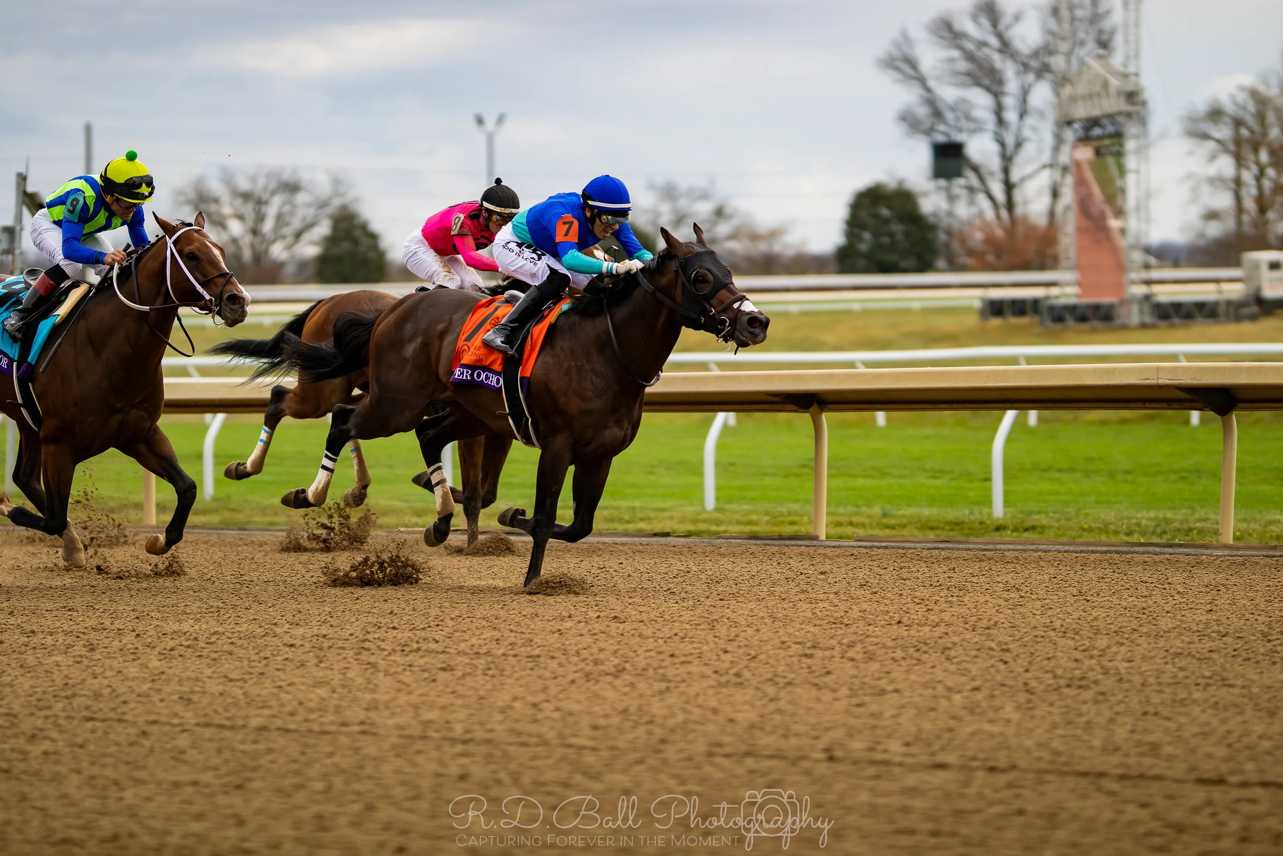 Horse race on dirt track with four horses and jockeys racing, with green field and trees in background.