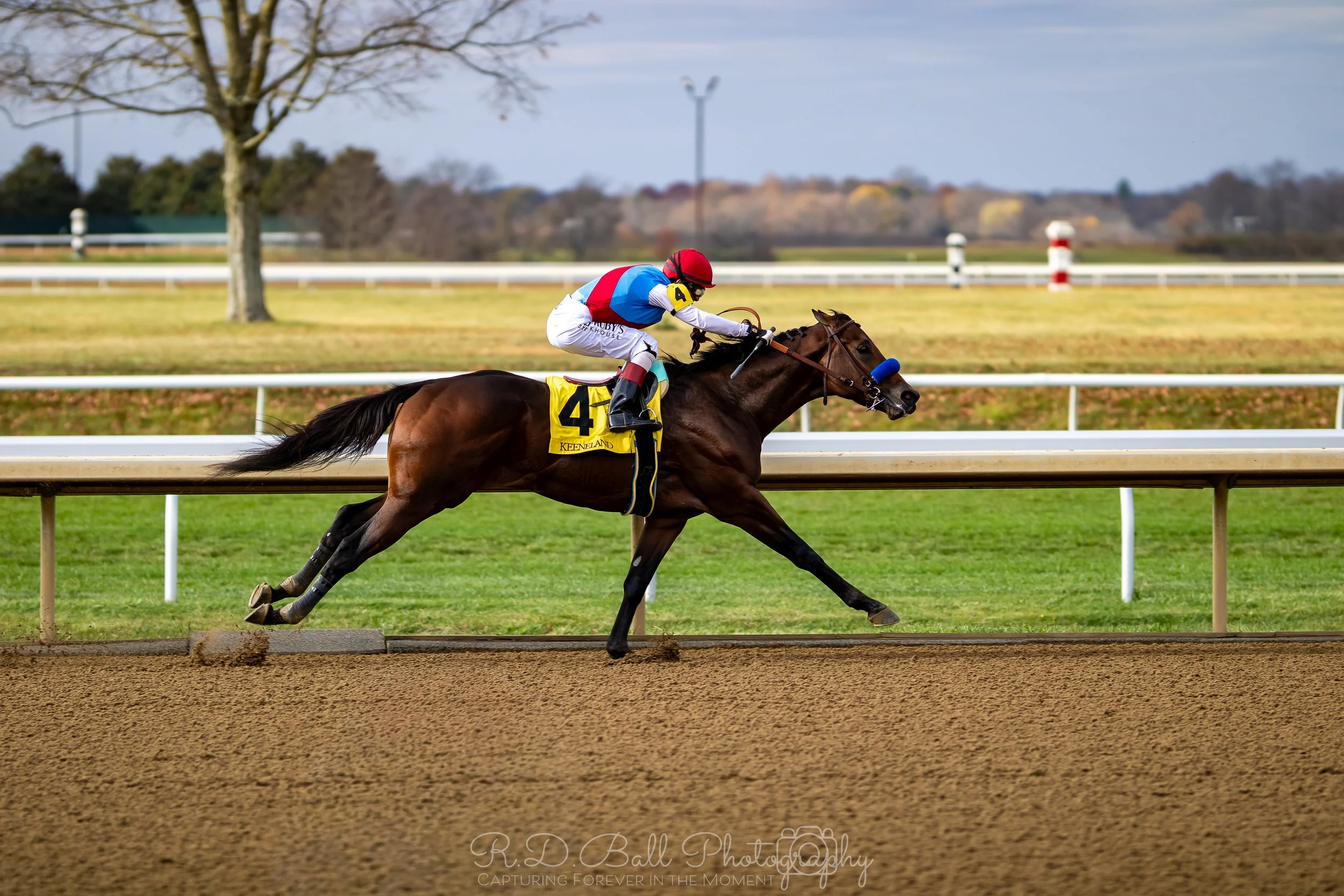A jockey in a red helmet, white pants, blue and red shirt riding a brown racehorse with a yellow saddlecloth marked with the number 4 on a dirt racetrack with green grass and trees in the background.