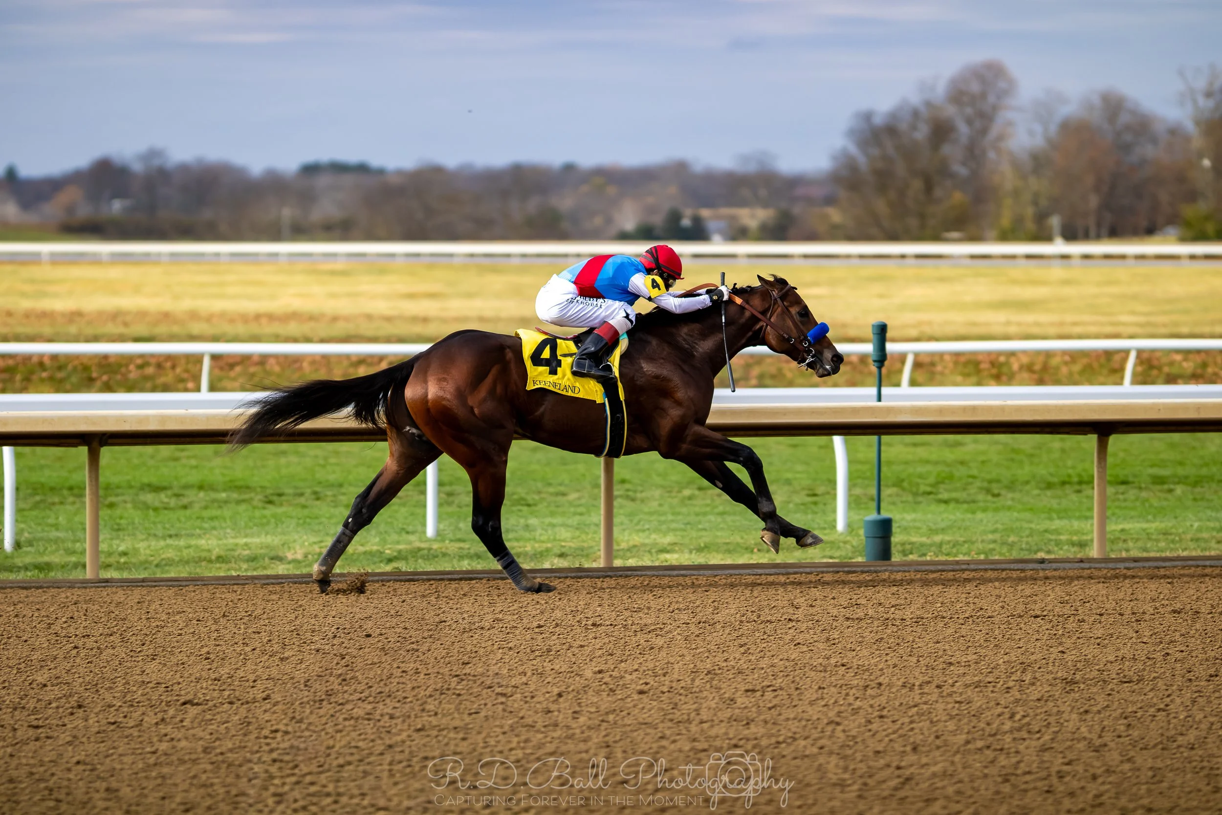 A racehorse and jockey during a horse race on a dirt track, with the jockey leaning forward in racing position, wearing a red helmet, a white and blue uniform, and the horse wearing a blue nose cover and a yellow saddle cloth with the number 4.