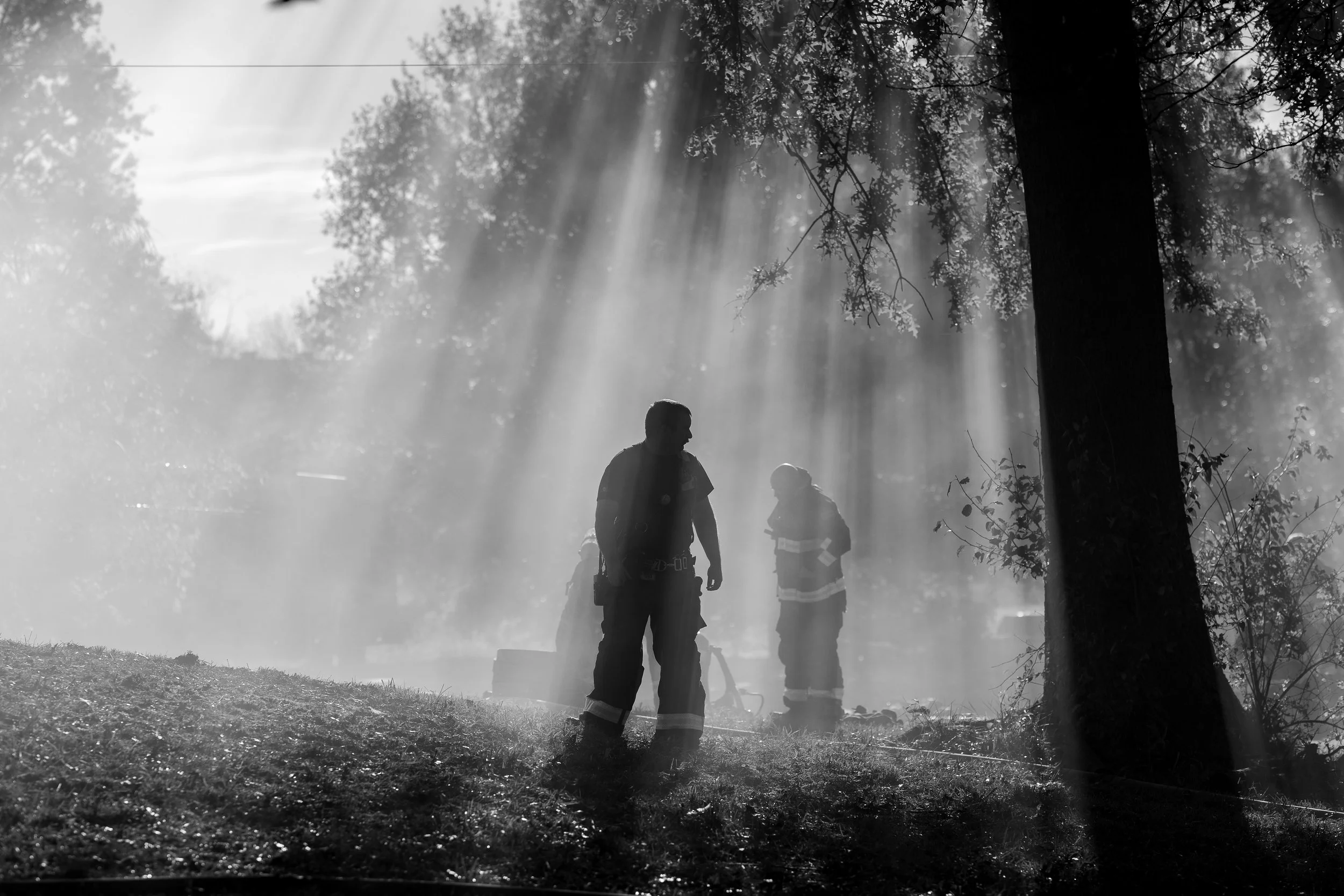 Silhouettes of firefighters standing in a smoky area with sunlight streaming through trees.