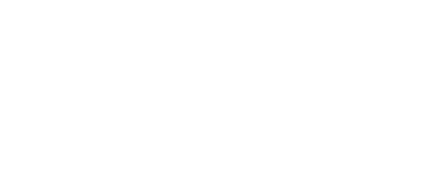 DAMI GROUP