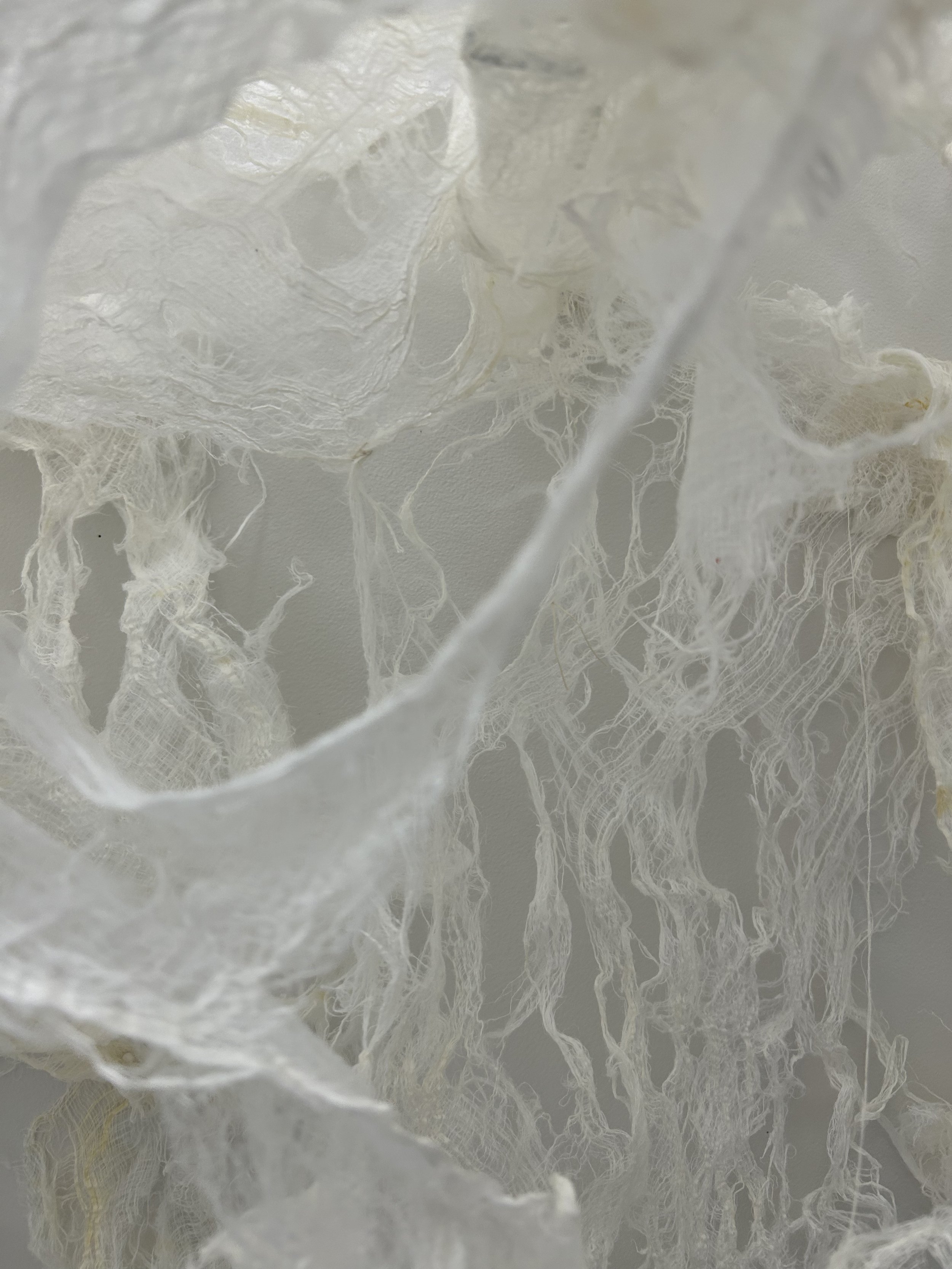 Detail, "Mother Earth Weaves Herself Whole"