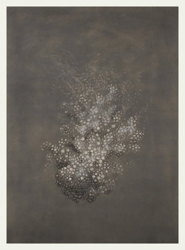 EHRay, image 9, FlowForm.jpg