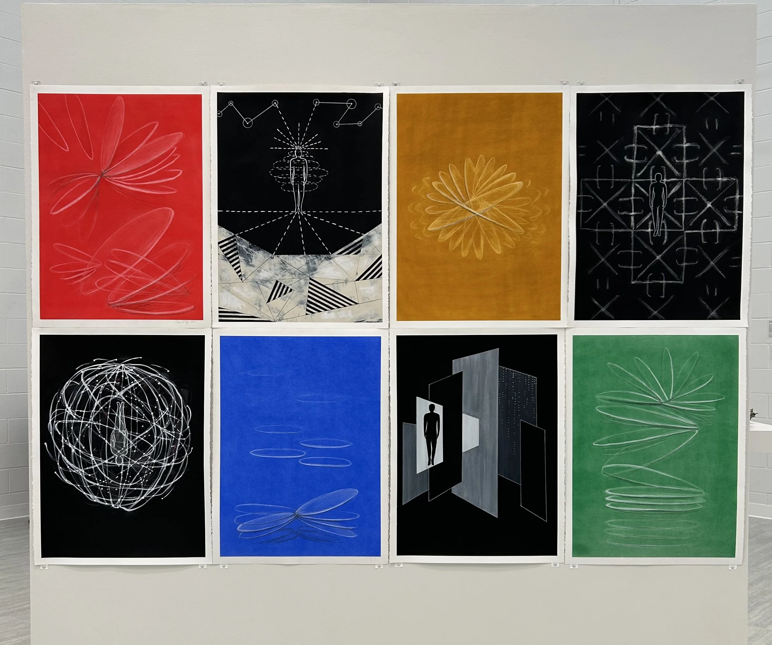 
Ellen H Ray
"Visualizing Vibrations" 
8 drawings 30" x 22" each
Pastel, Charcoal, Acrylic, Graphite