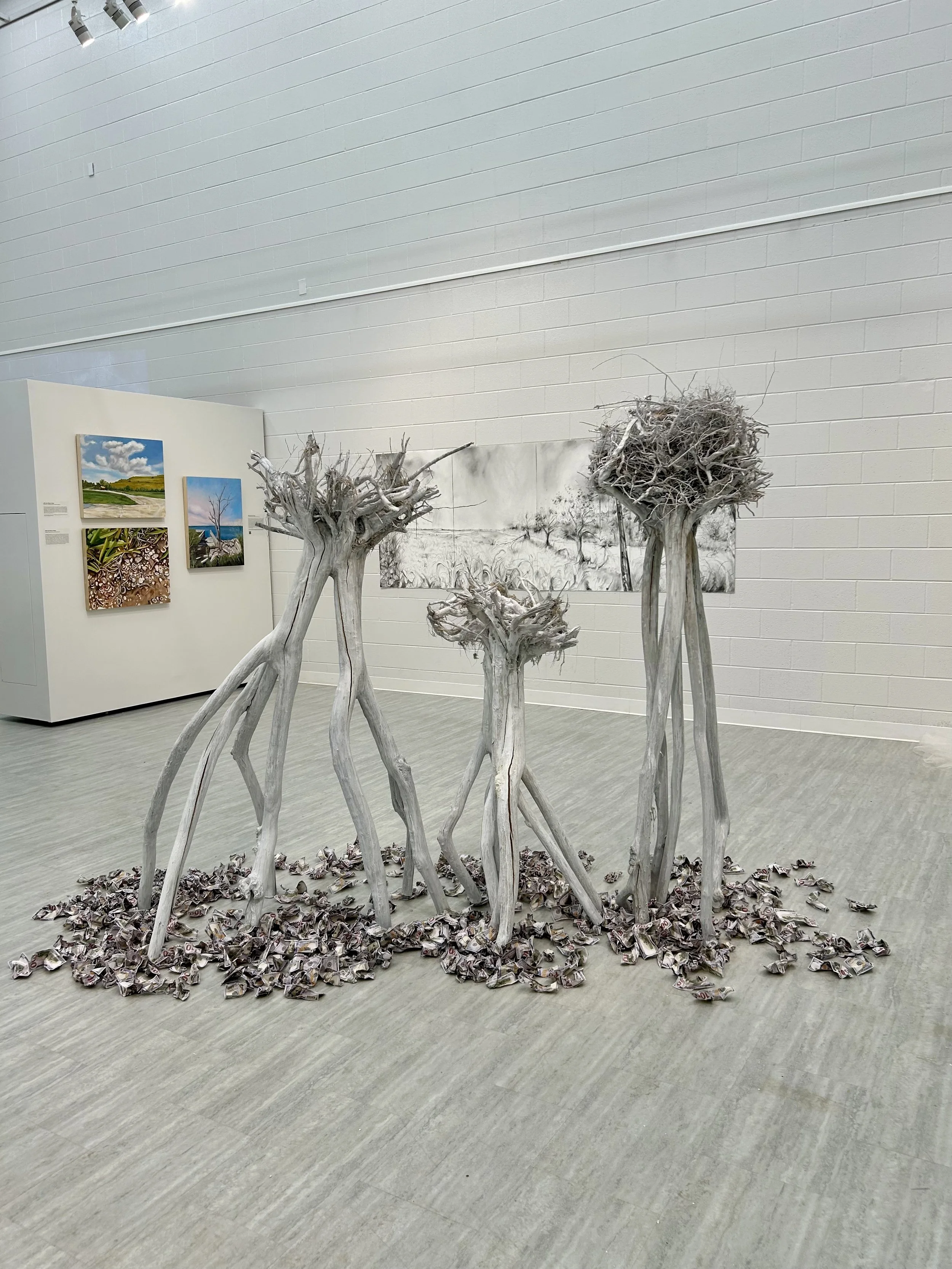 "We" (byArtist Cindee Klement )
crepe myrtle root balls, paint, prop bank notes