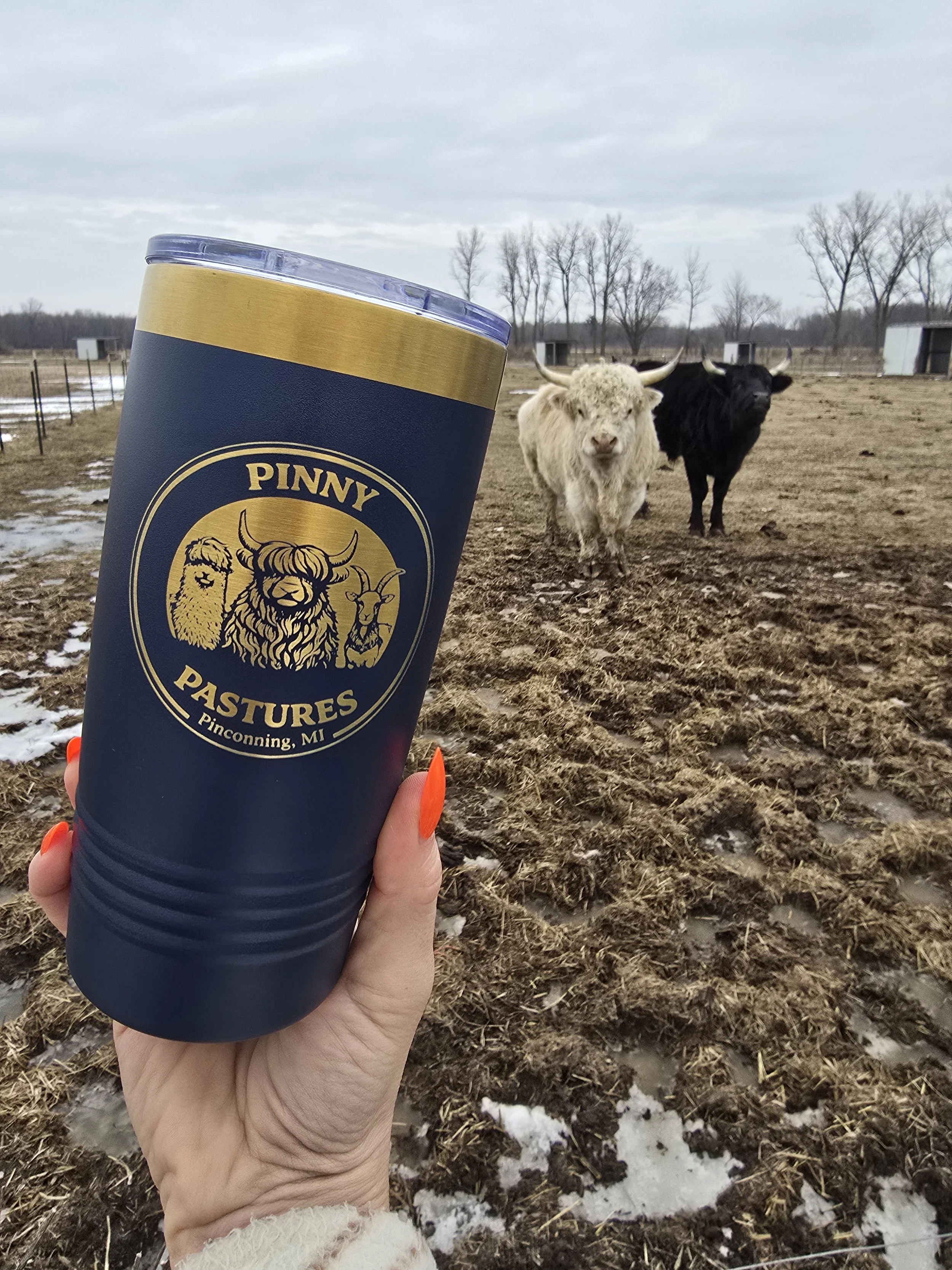Pinny Pastures Insulated Tumbler - Gold On Blue