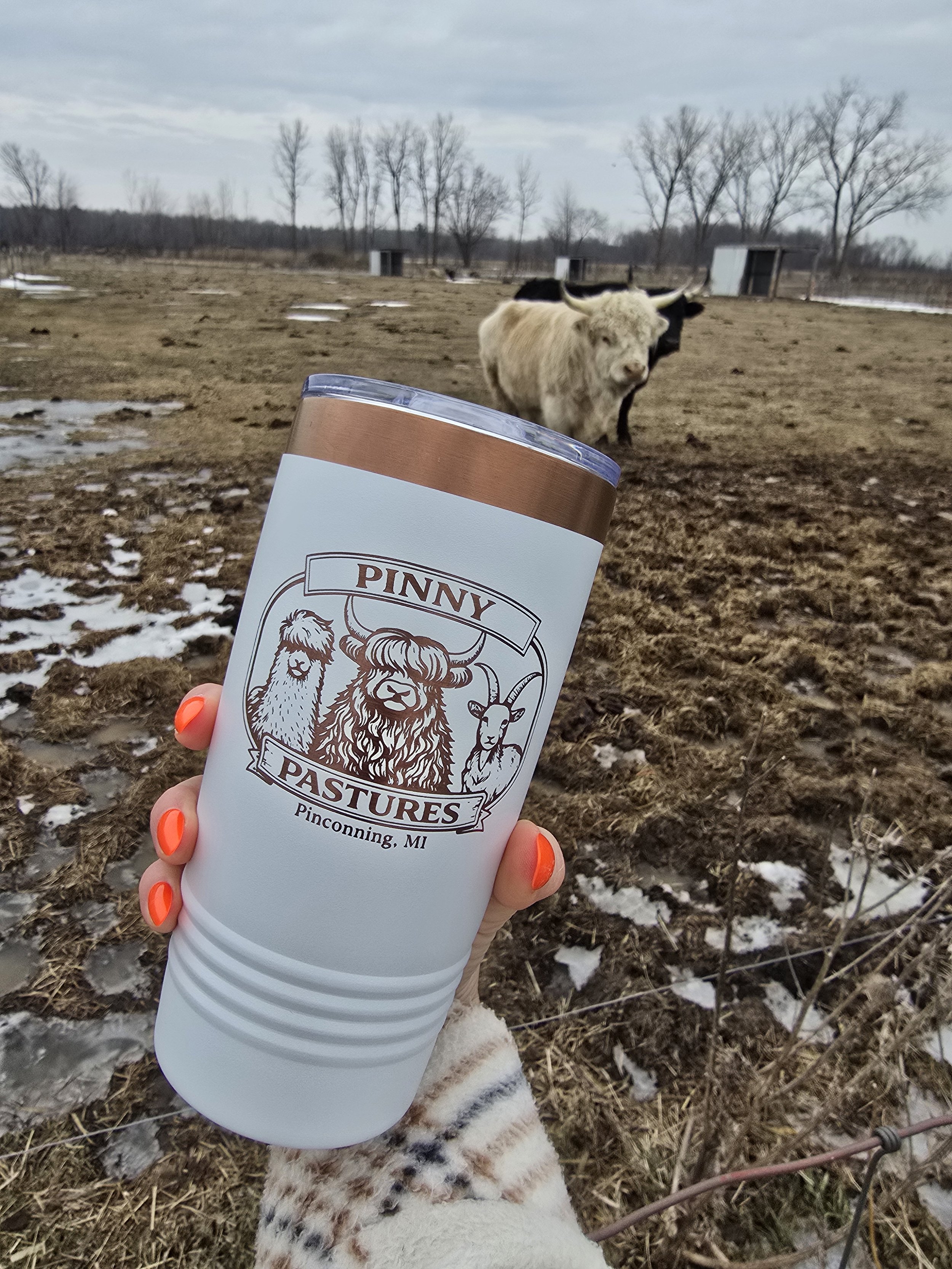Pinny Pastures Insulated Tumbler - Rose Gold