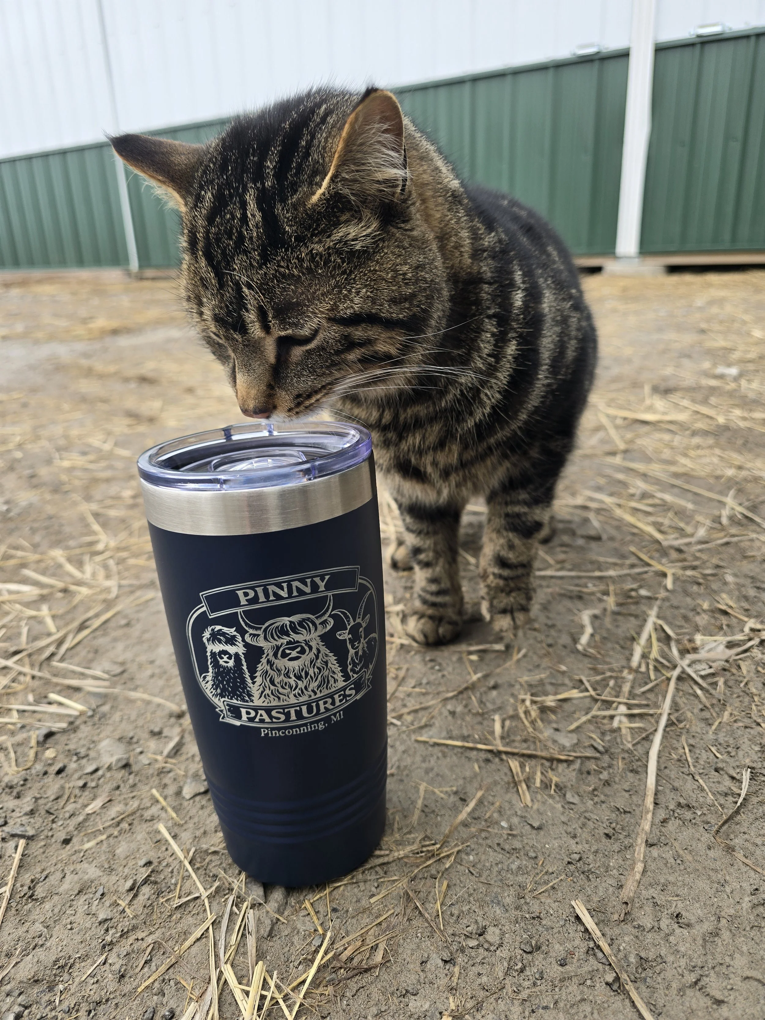 Pinny Pastures Insulated Tumbler - Silver and Blue