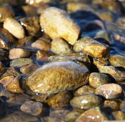 A close-up of various smooth, rounded rocks in shallow water.