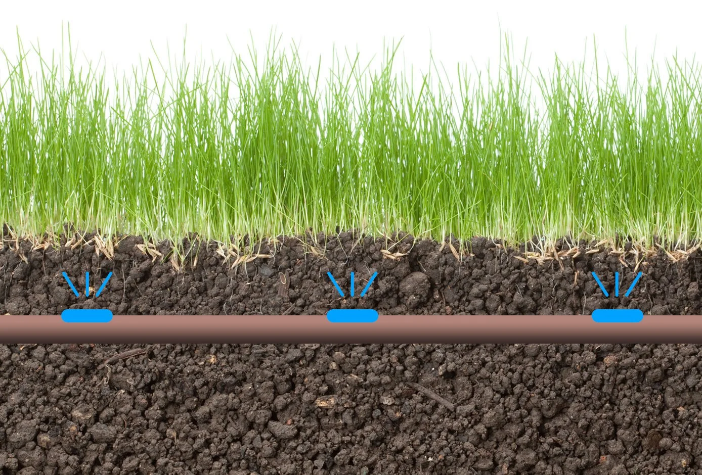 Diagram of nutrient water sprinklers in soil supporting green grass growth.