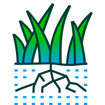 Stylized green grass with roots and blue water droplets.