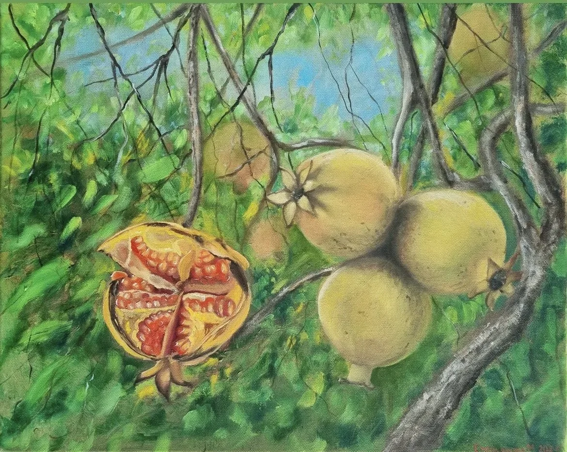 Vibrant Pomegranate Canvas Art