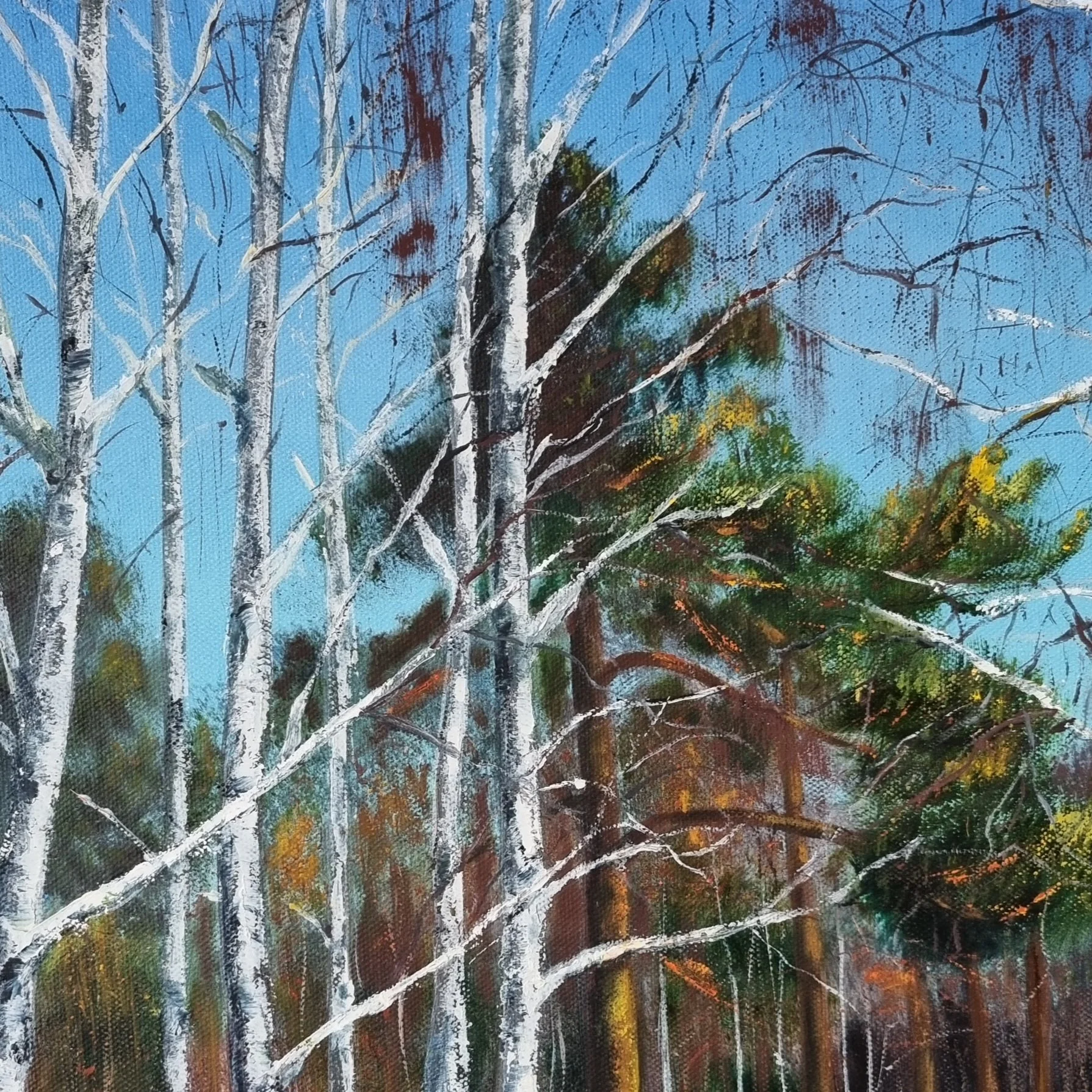 snowy-birch-trees-landscape-painting.jpg