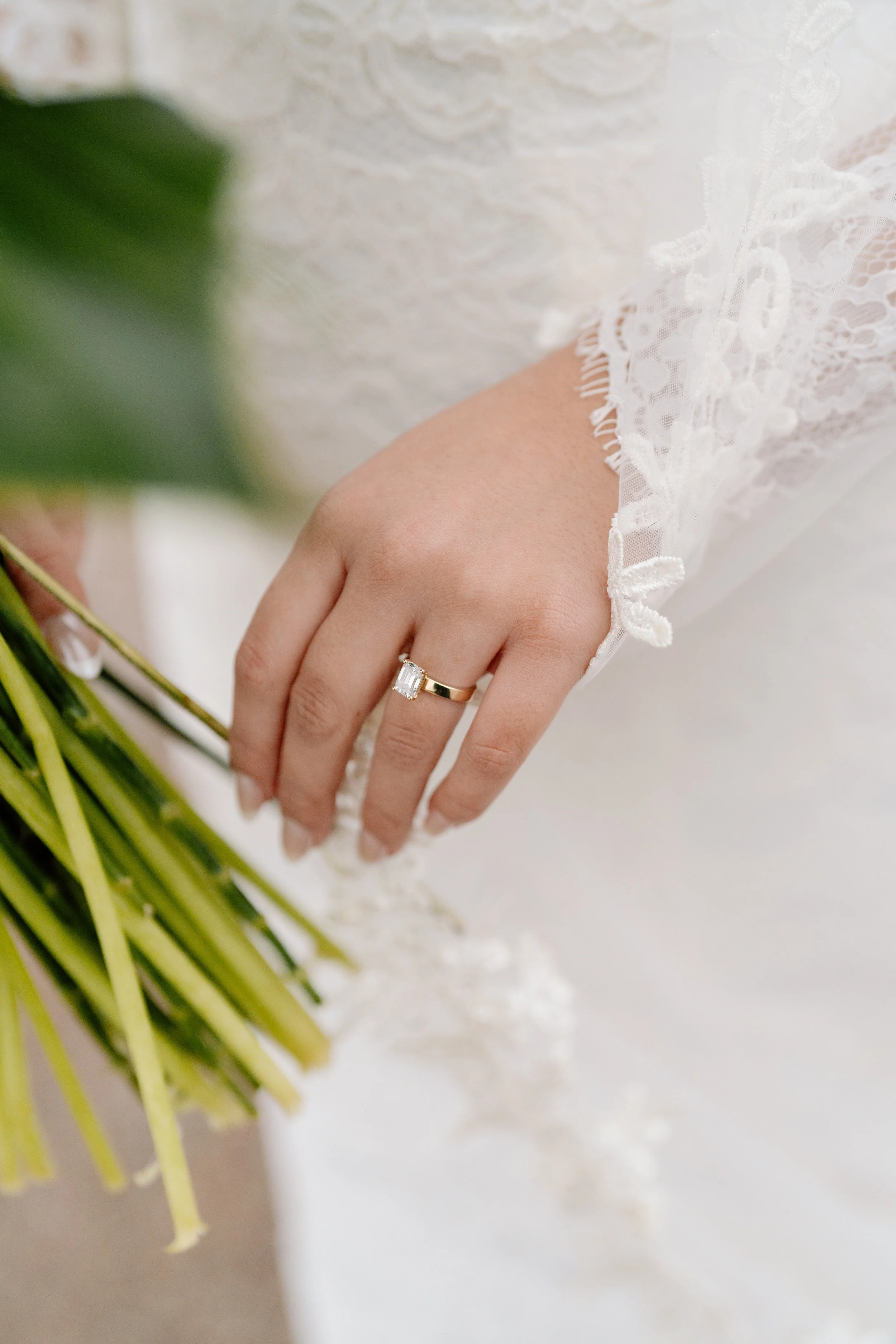 Ilikuone Photo-308.jpg